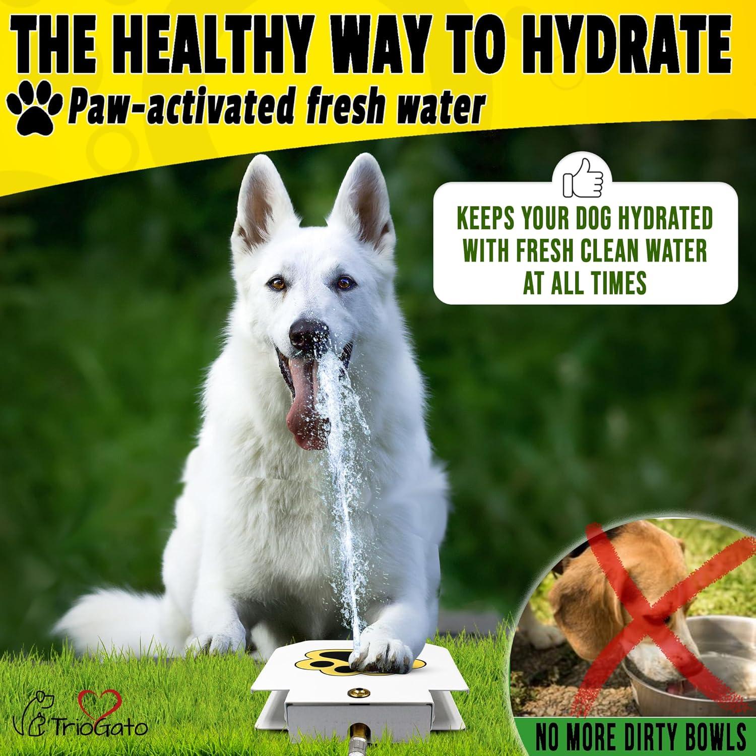 Fuente de Agua para Perros Trio Gato, Activada por Patas