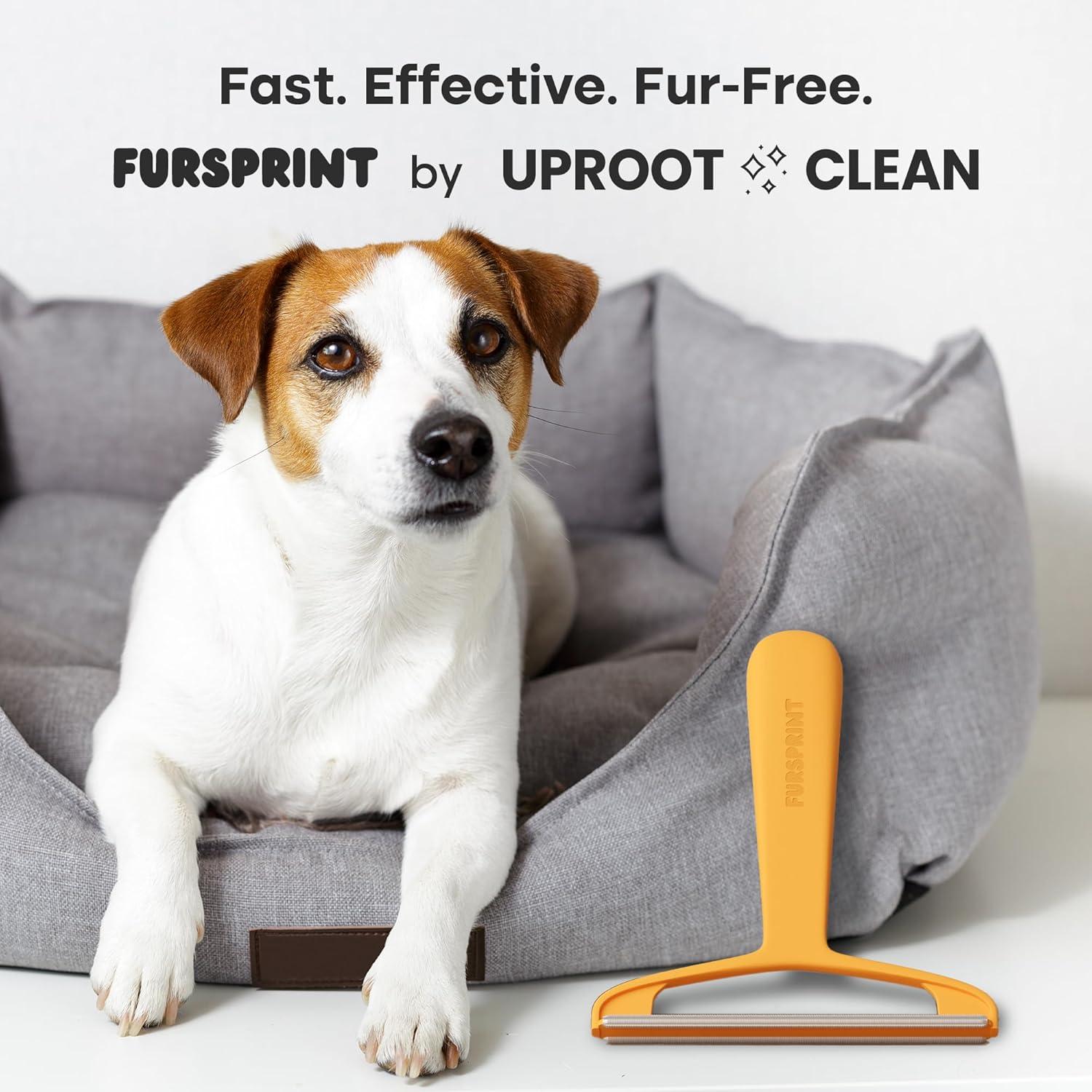 Herramienta Eliminadora de Pelo de Mascota Pro Fursprint - Raspador Reutilizable para Alfombras, Sofás y Coche