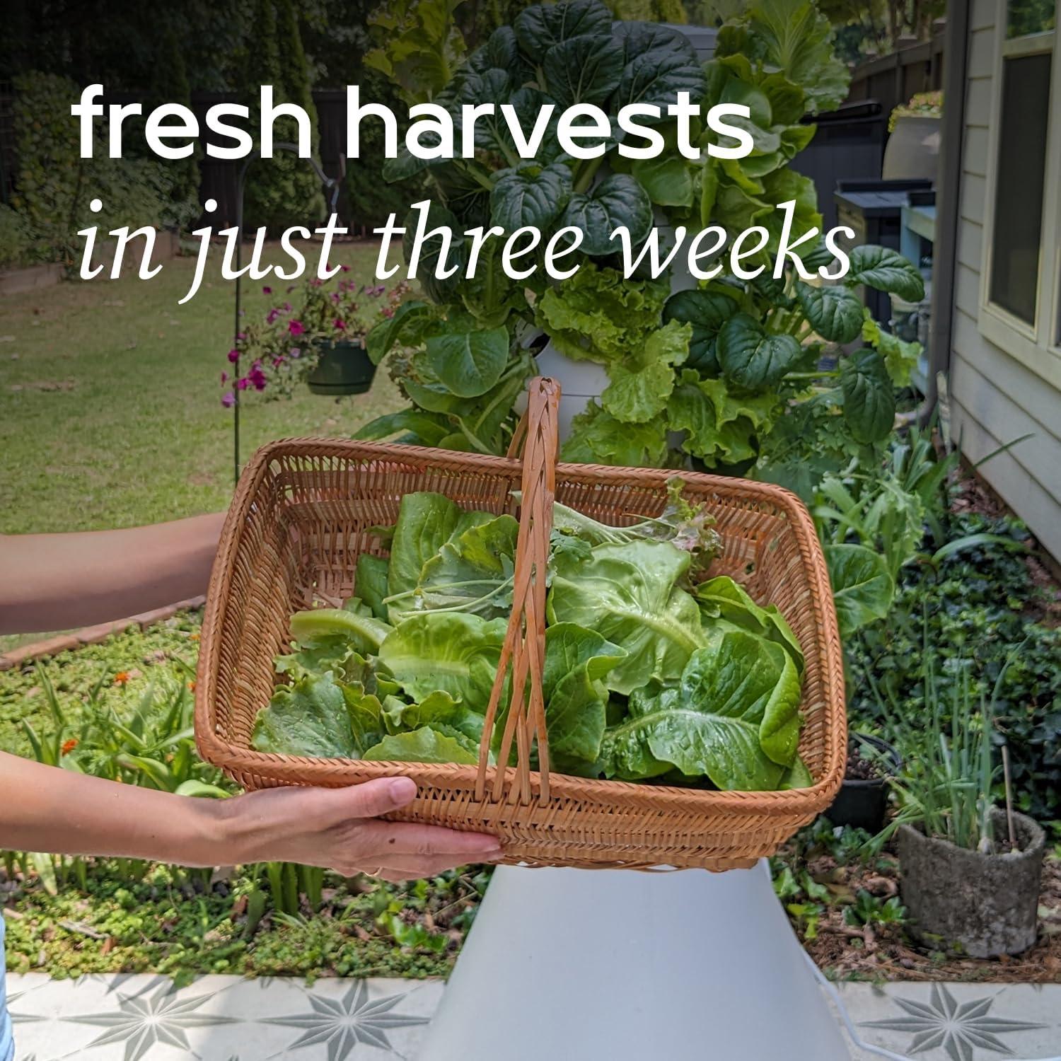 Kit de Huerto Hidropónico Familiar Lettuce Grow 1.65m