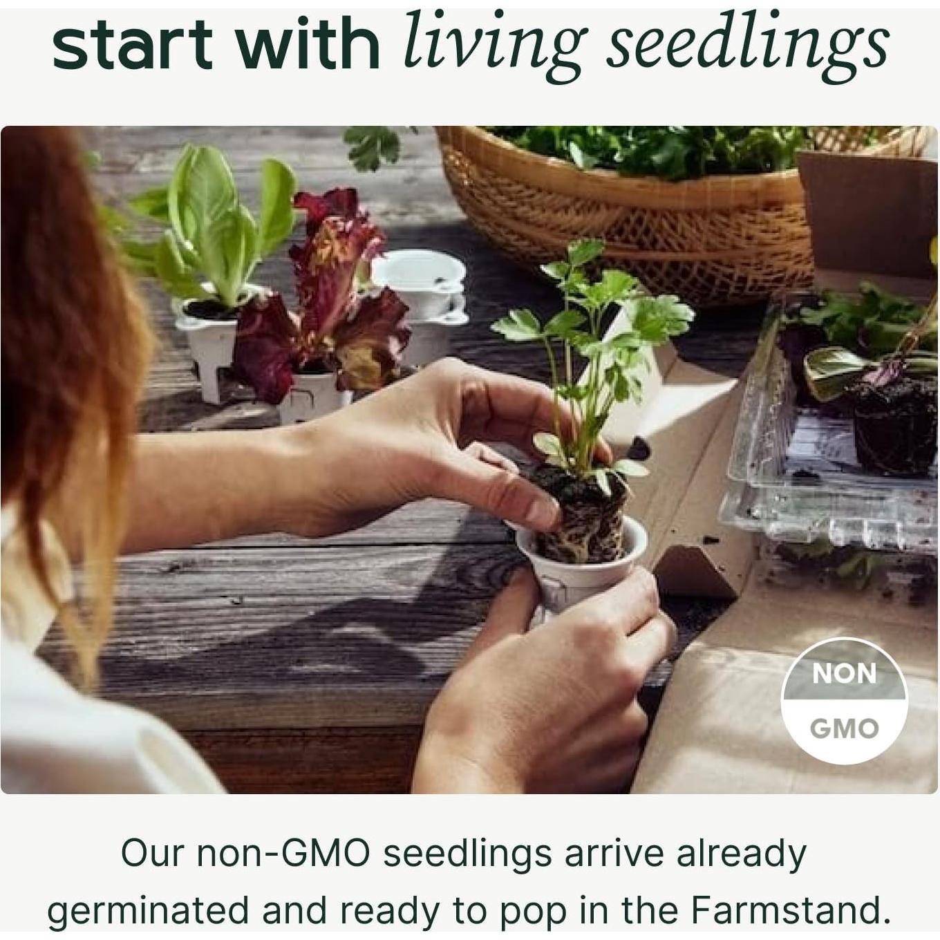 Kit de Huerto Hidropónico Familiar Lettuce Grow 1.65m