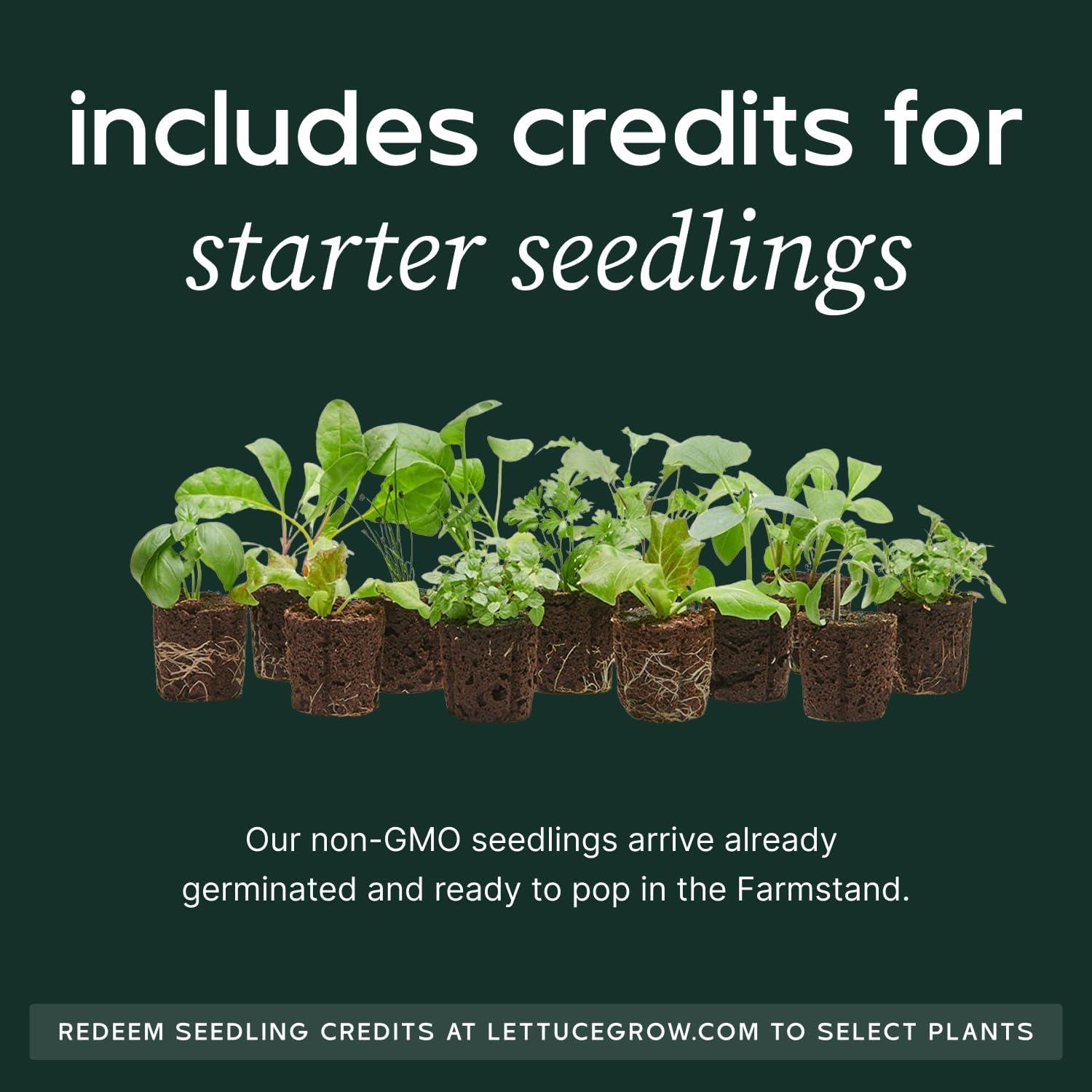 Kit de Huerto Hidropónico Familiar Lettuce Grow 1.65m