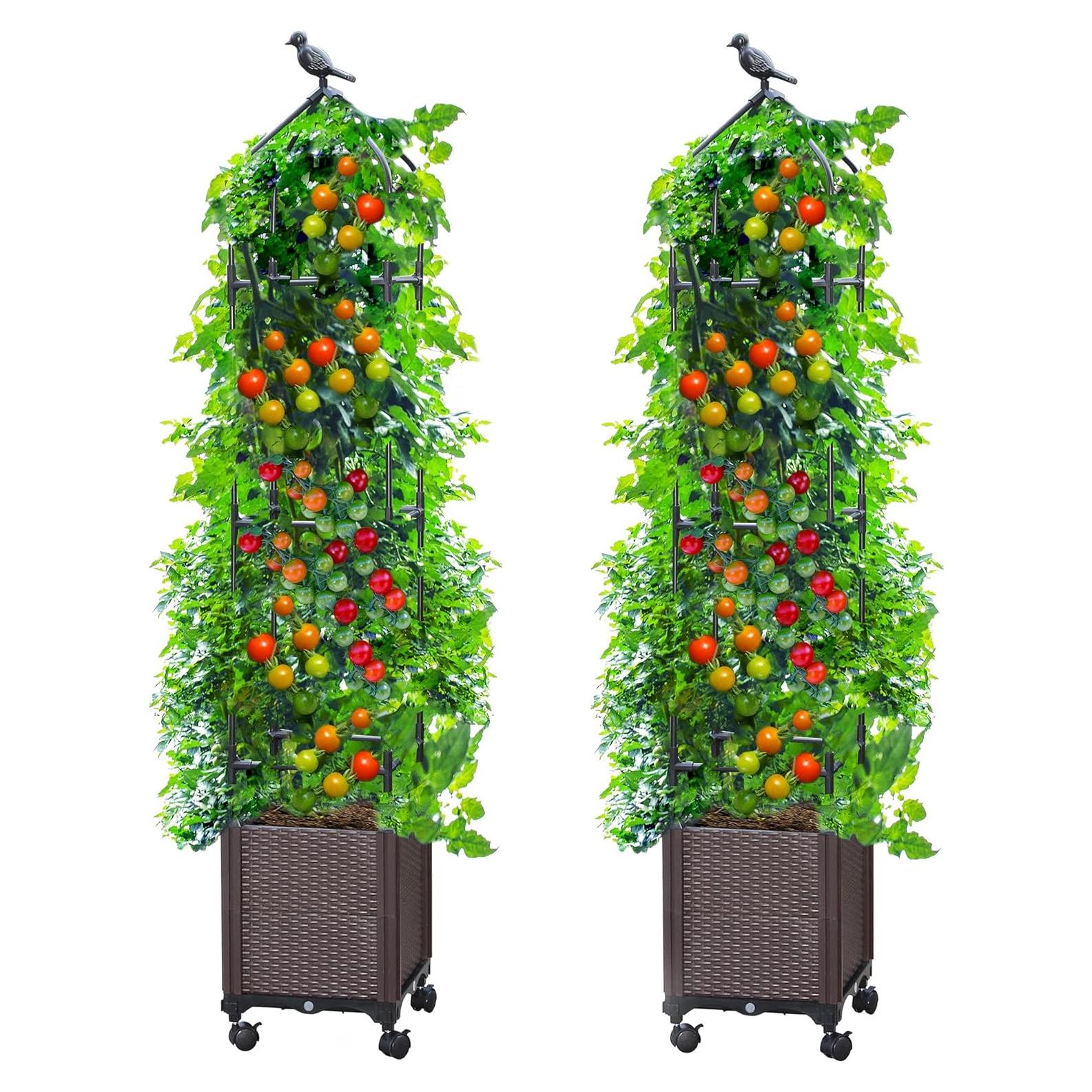 Caja de Jardín Elevada Sunnyglade con Enrejado 160 cm 2 Pcs