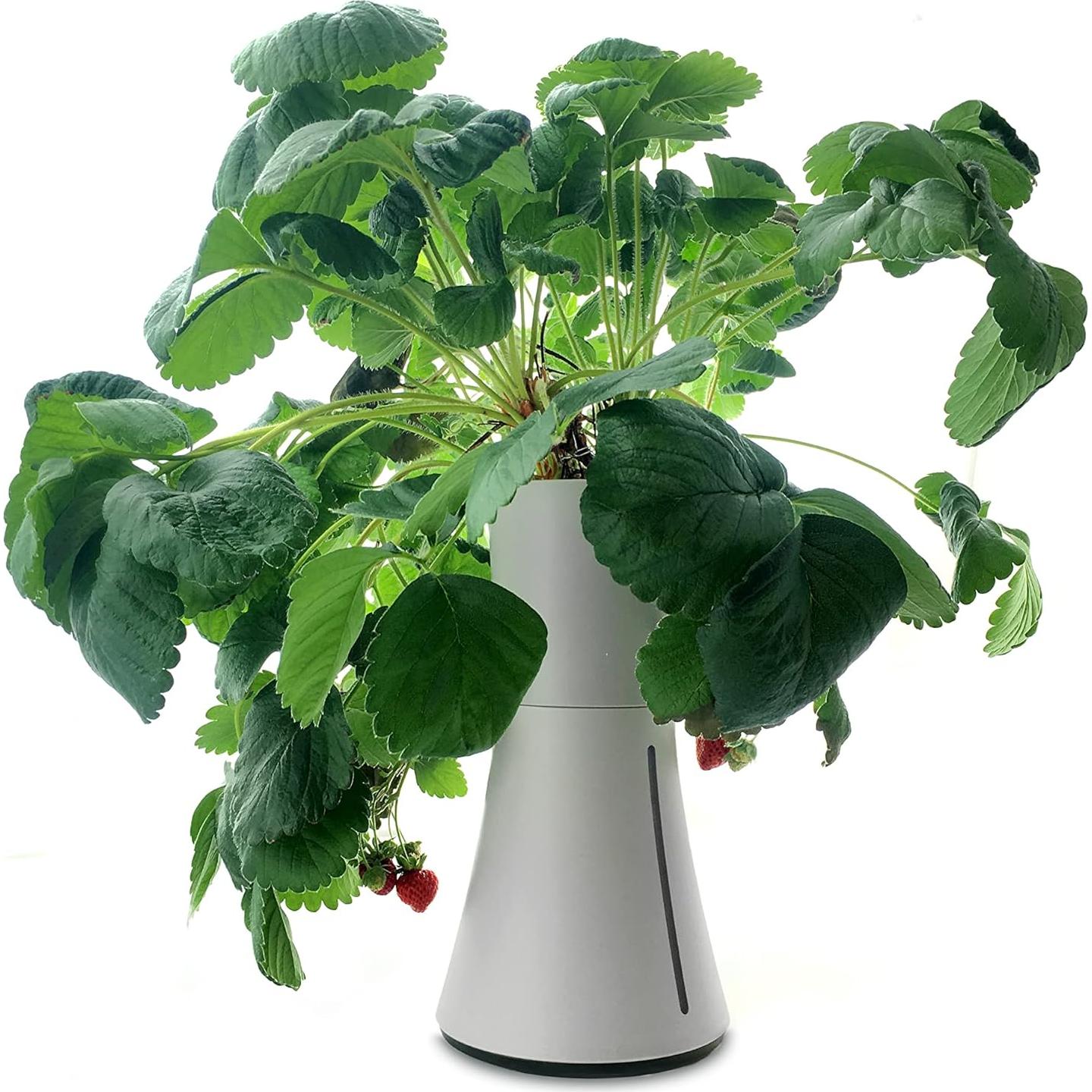 Maceta Hidropónica Automática Botanium Gris 0.95L