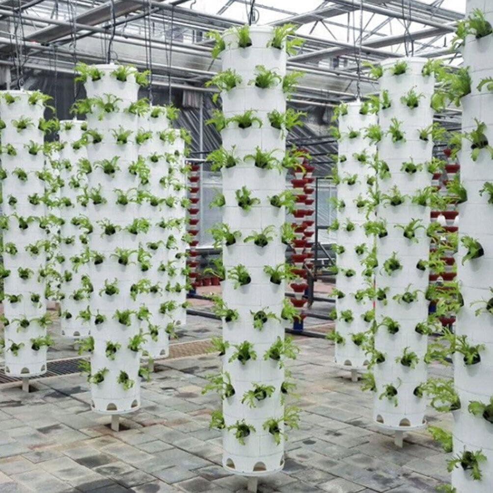 Set de 12 Tazas Hidropónicas Reutilizables Toddmomy 7.19cm