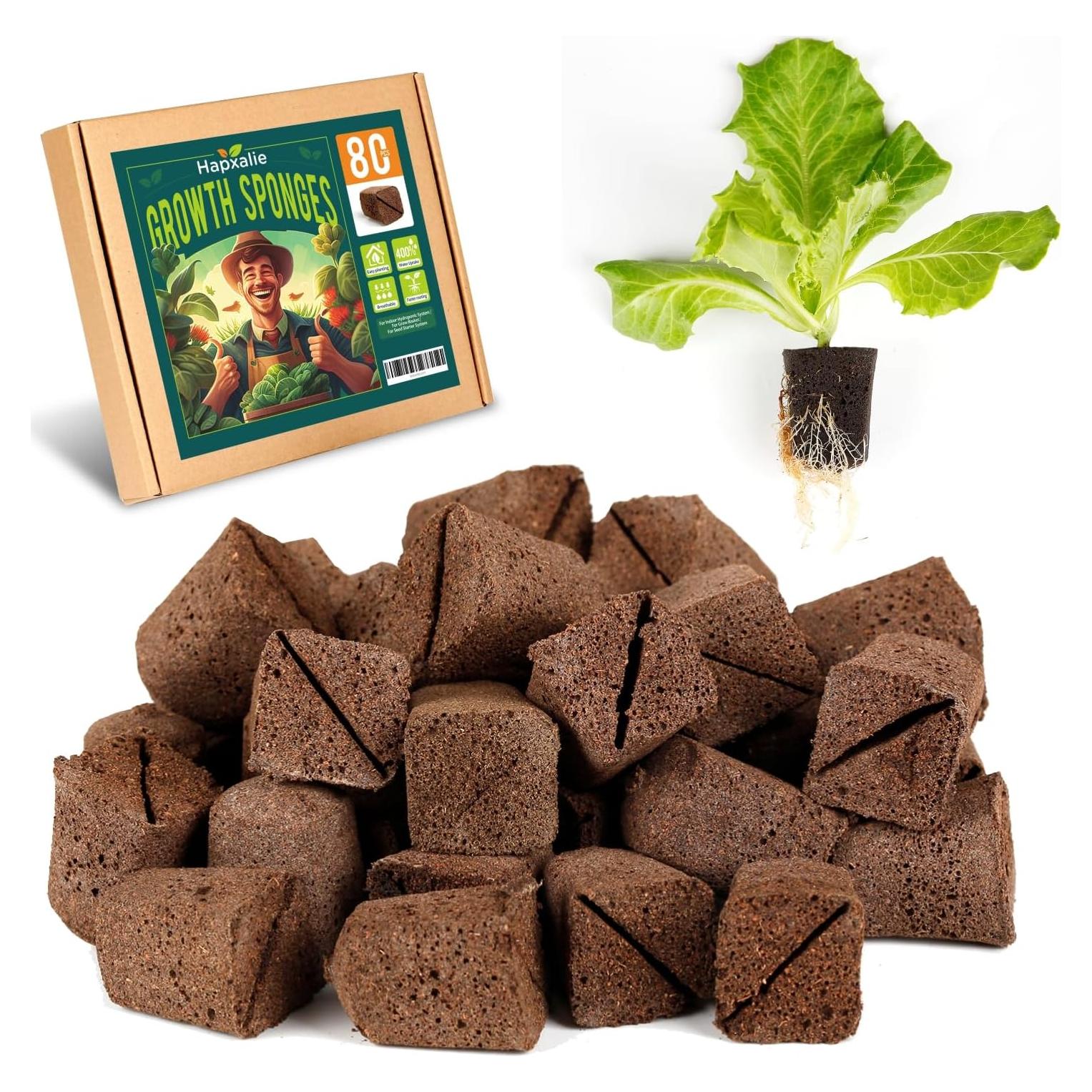 Tapones de Inicio de Semillas Hapxalie 80 PCS Ecológicos