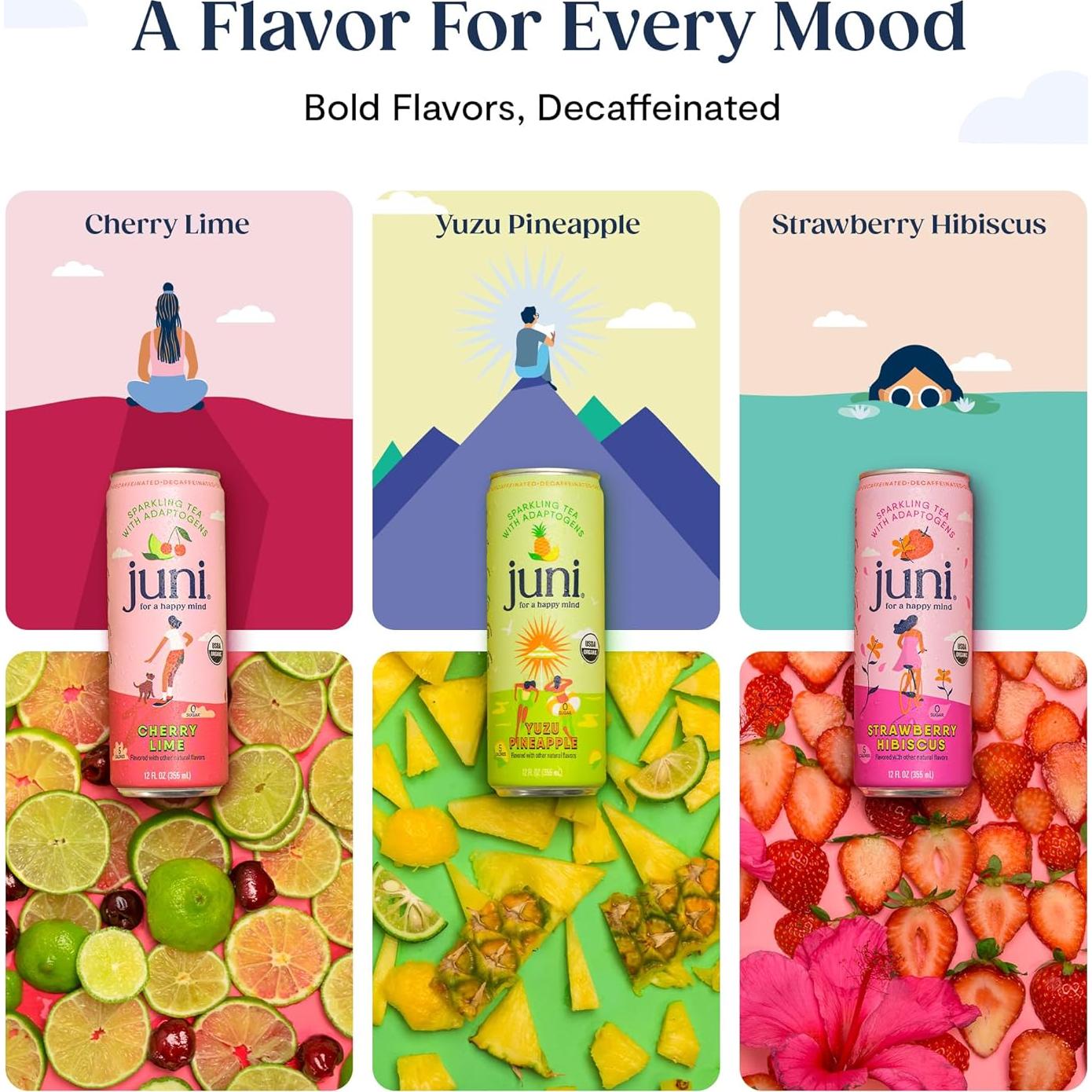 Bebida Espumosa Adaptógena Juni - Paquete Variado 12 Latas 355ml