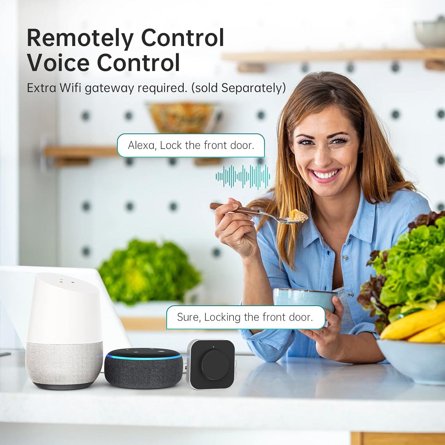 Cerradura Inteligente Hornbill M1-BB Bluetooth con Teclado