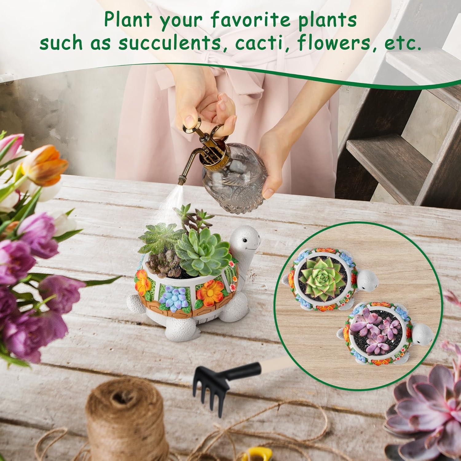 Maceta Tortuga LESES con Drenaje para Suculentas 15.24 cm