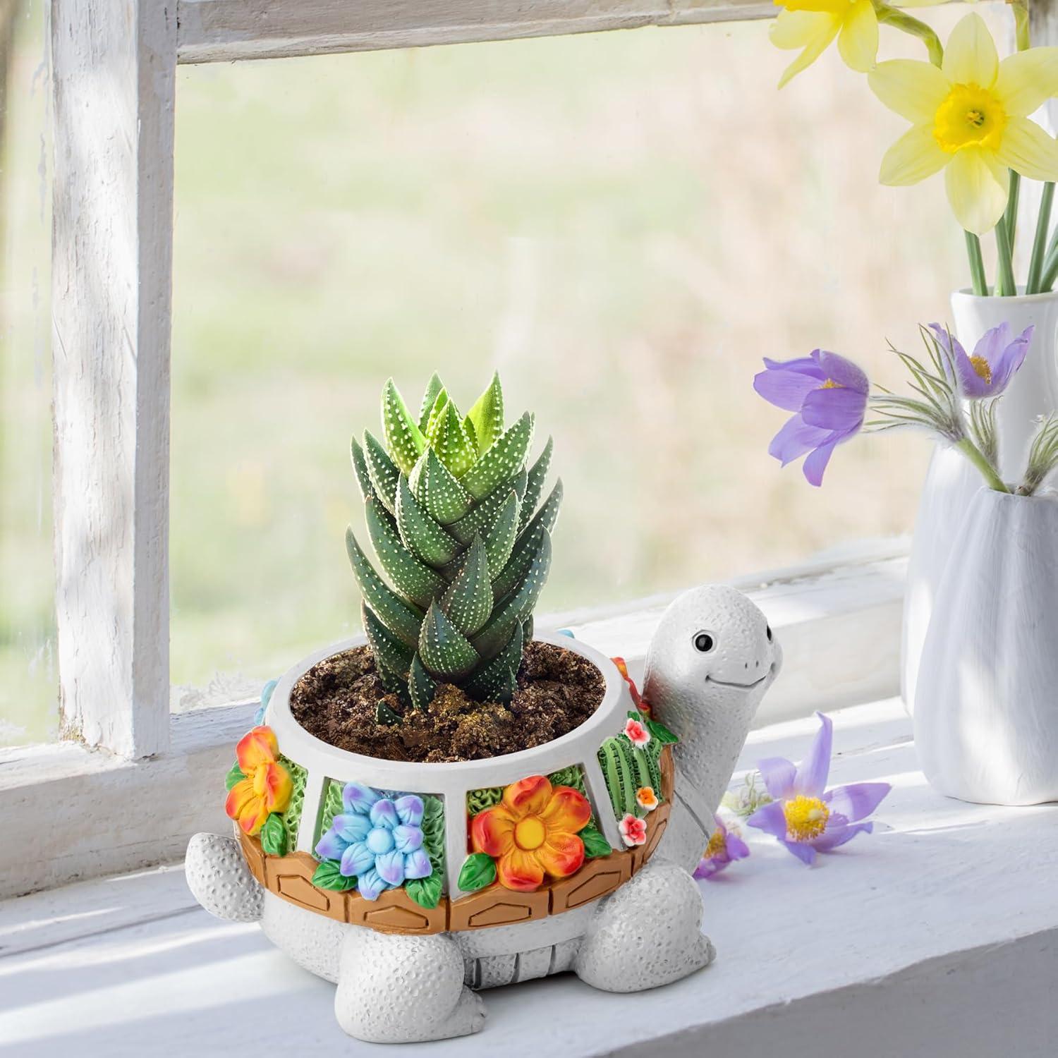 Maceta Tortuga LESES con Drenaje para Suculentas 15.24 cm