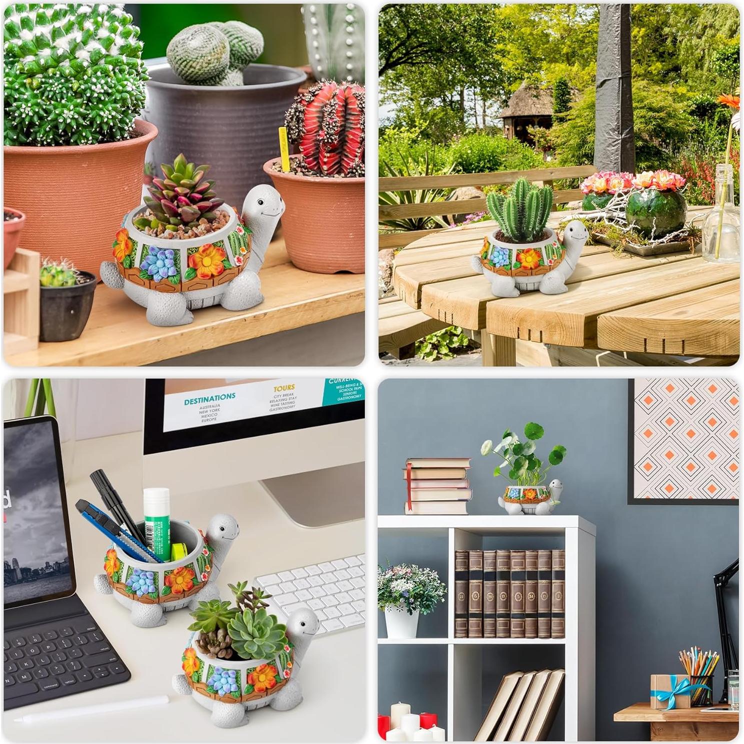 Maceta Tortuga LESES con Drenaje para Suculentas 15.24 cm