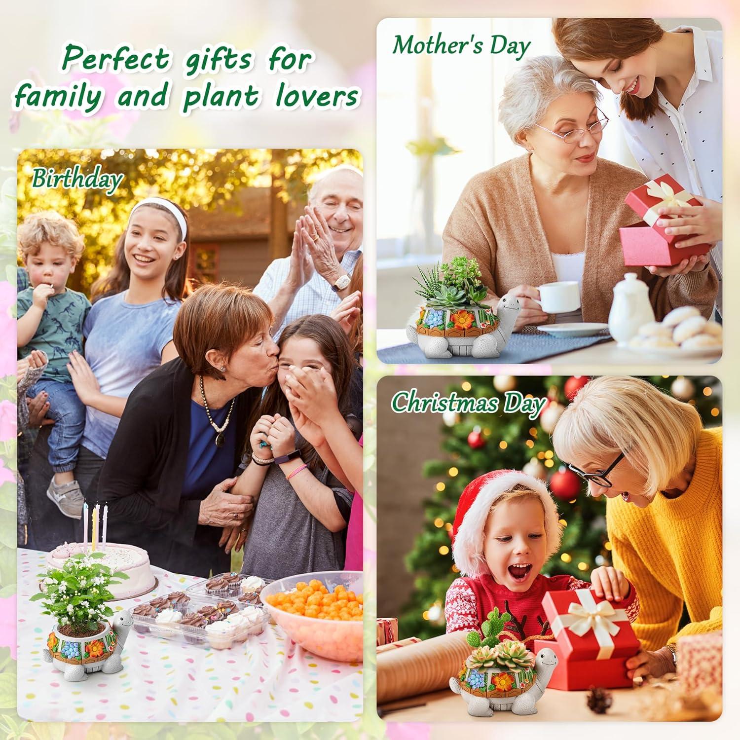 Maceta Tortuga LESES con Drenaje para Suculentas 15.24 cm