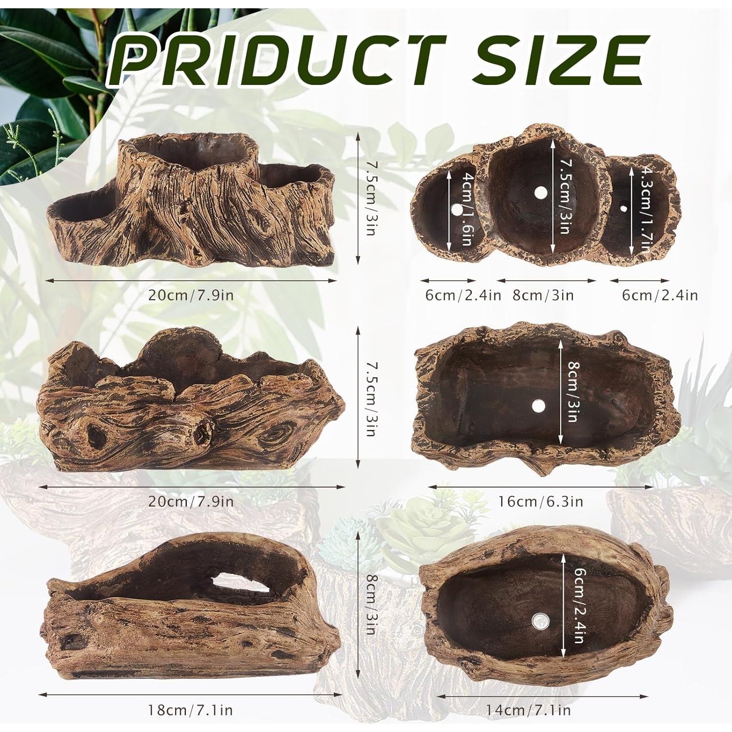 3 Macetas de Concreto Retro Sunnychicc para Suculentas