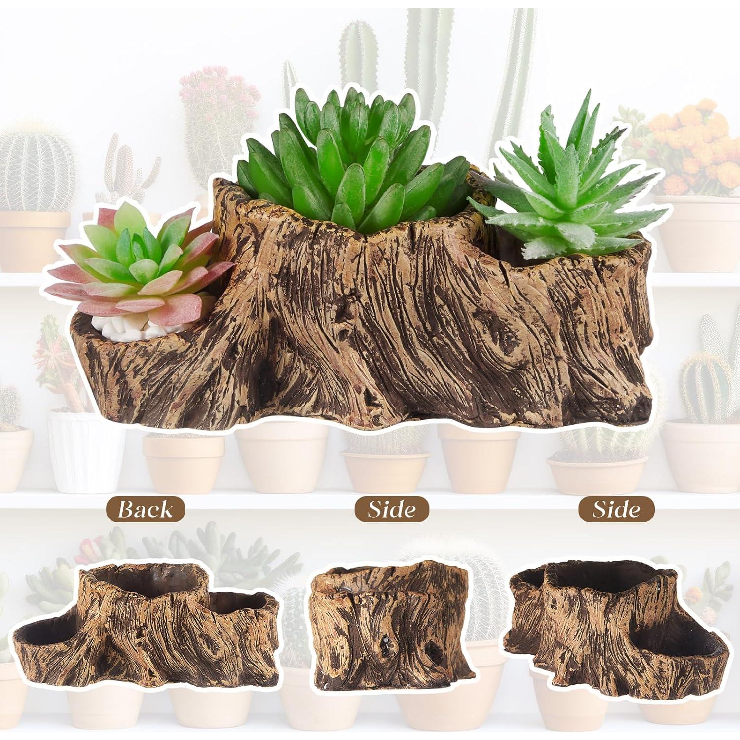 3 Macetas de Concreto Retro Sunnychicc para Suculentas