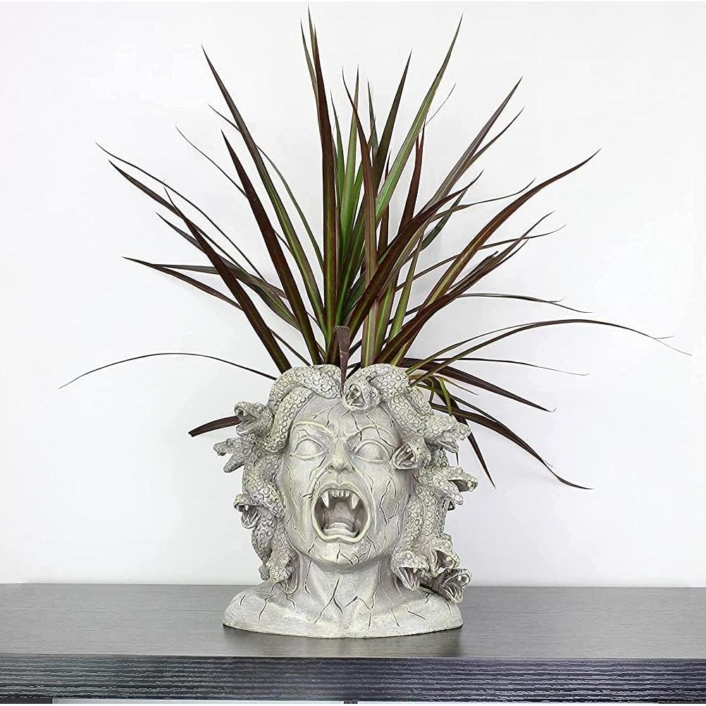 Maceta de Resina Medusa Darware 26.7 cm Decoración Jardín
