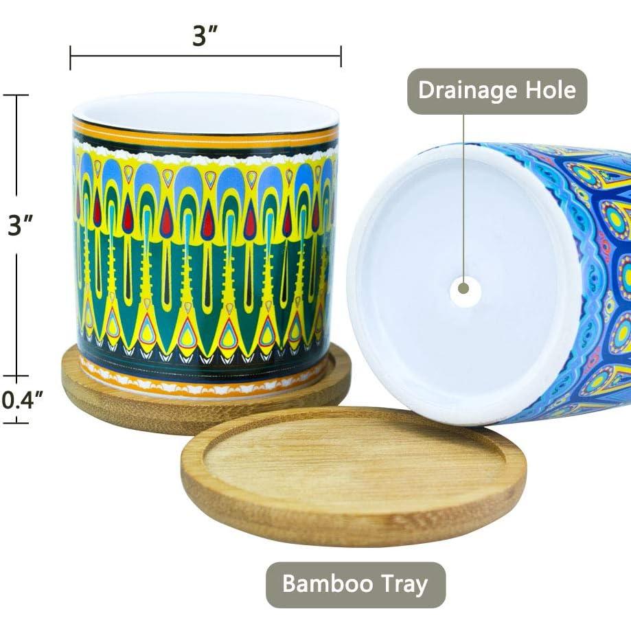 Macetas de Suculentas Mandala Ascrafter - Paquete de 6 con Drenaje
