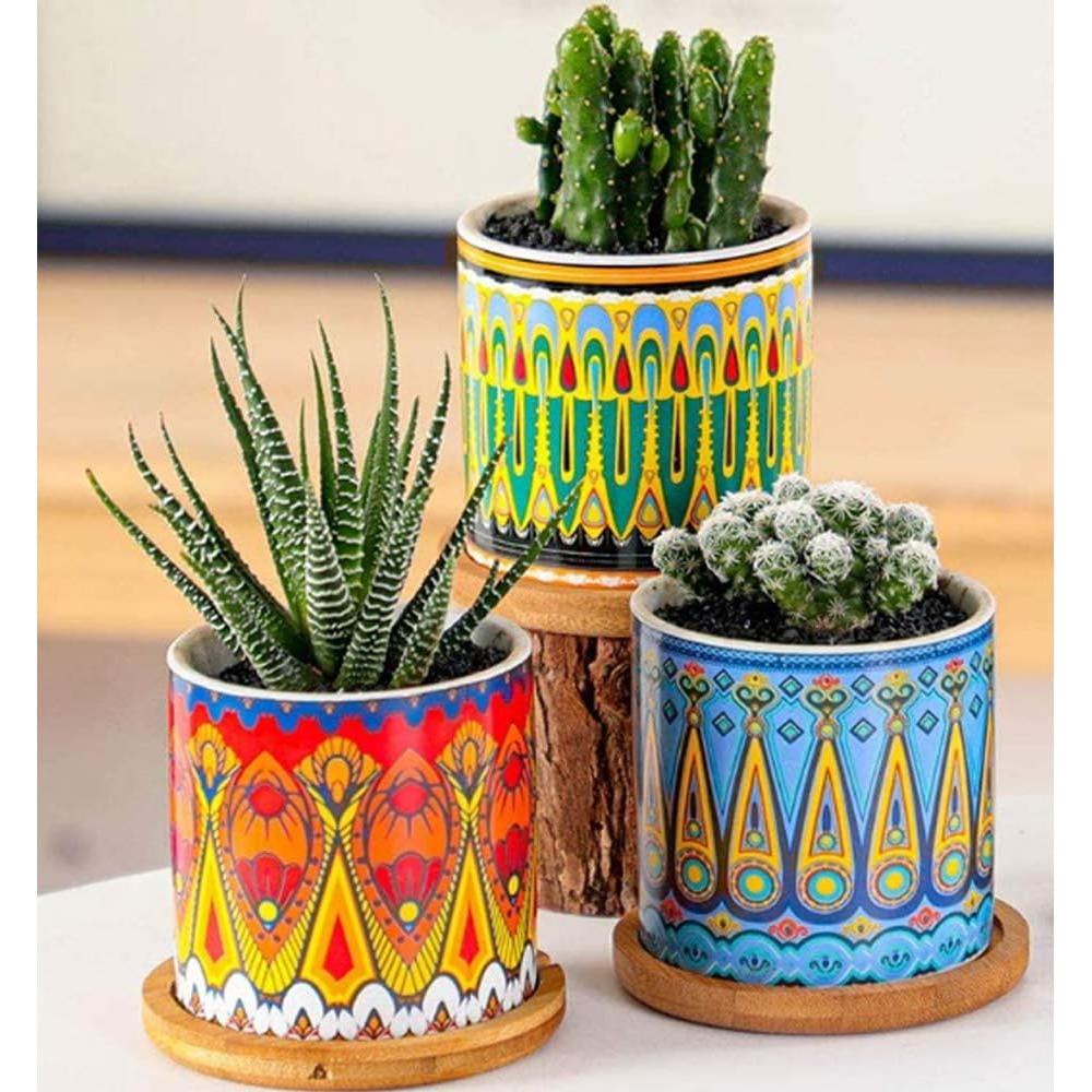 Macetas de Suculentas Mandala Ascrafter - Paquete de 6 con Drenaje