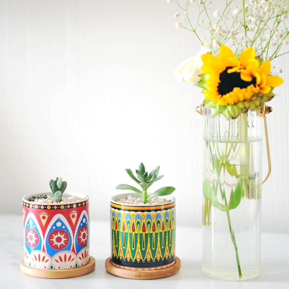 Macetas de Suculentas Mandala Ascrafter - Paquete de 6 con Drenaje