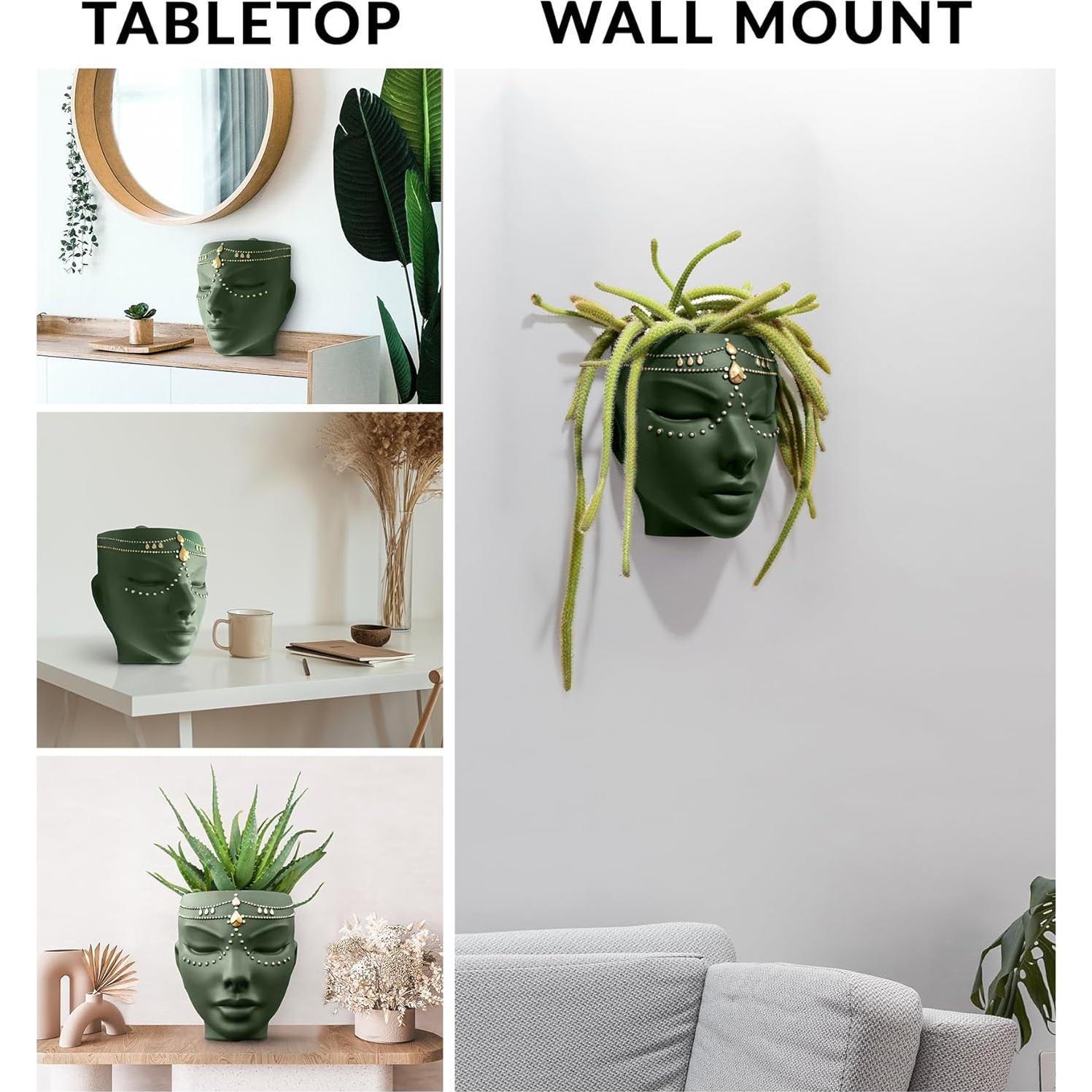 Maceta Cabeza Bossa Linda Verde Serena 17.78 cm para Plantas