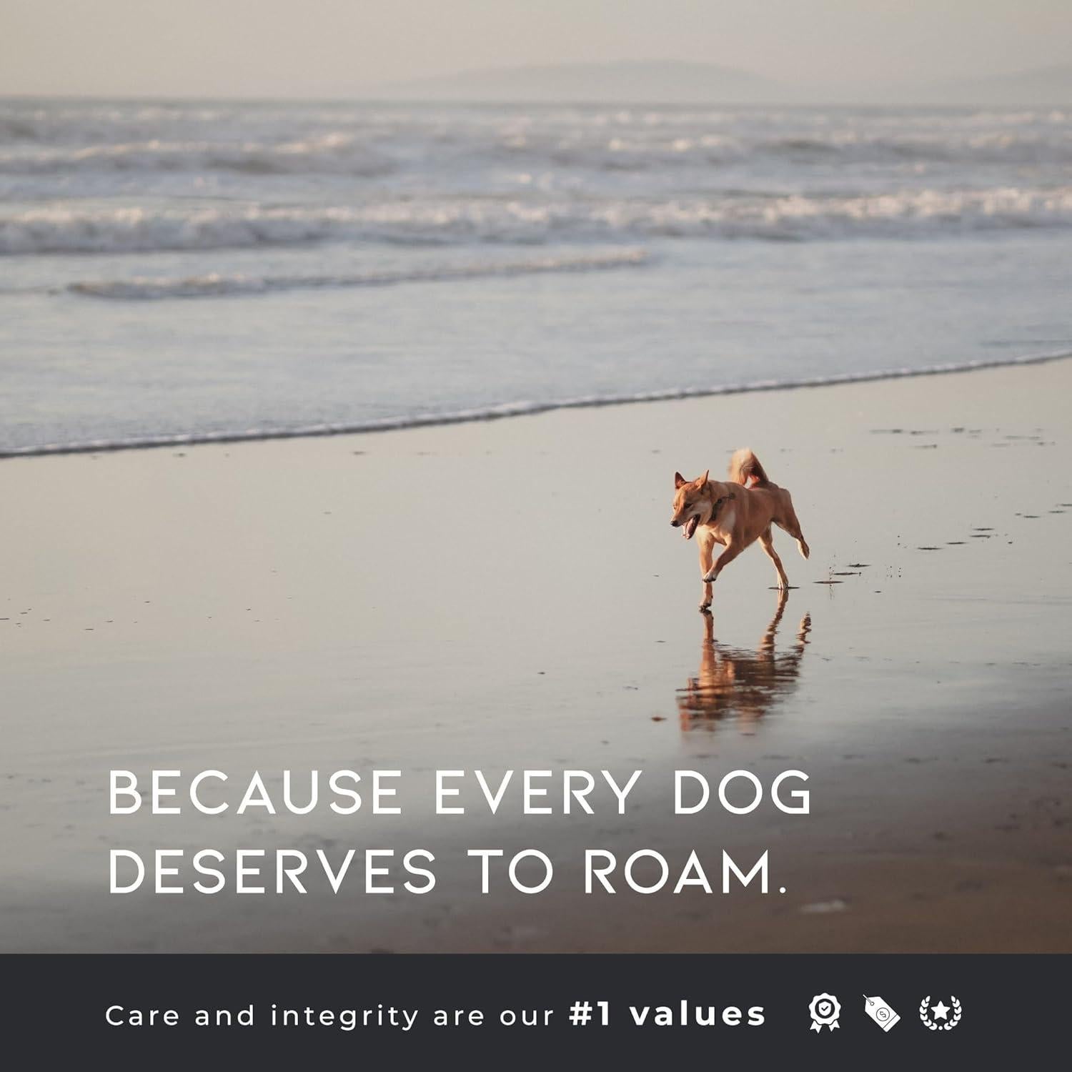 Bolsas de Excremento de Perro HECHO PARA DEAMBULAR 270 Unidades