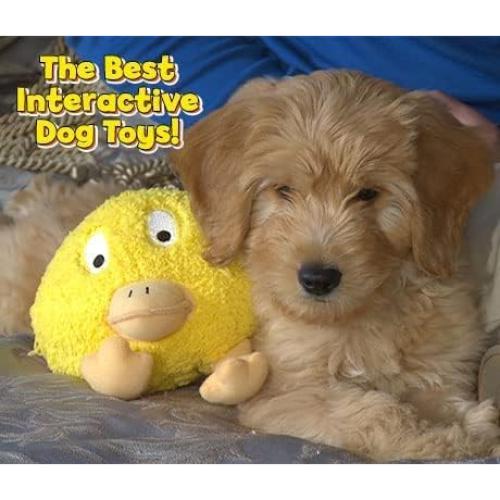 Juguete Interactivo para Perros GaZoos Beau Bunny 12.7cm