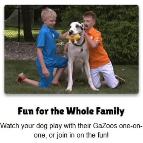 Juguete Interactivo para Perros GaZoos Beau Bunny 12.7cm