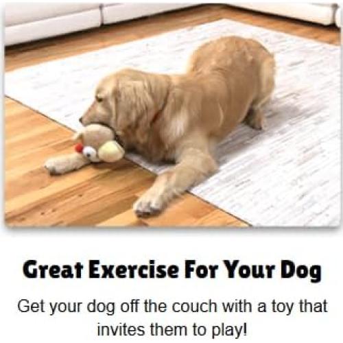 Juguete Interactivo para Perros GaZoos Beau Bunny 12.7cm