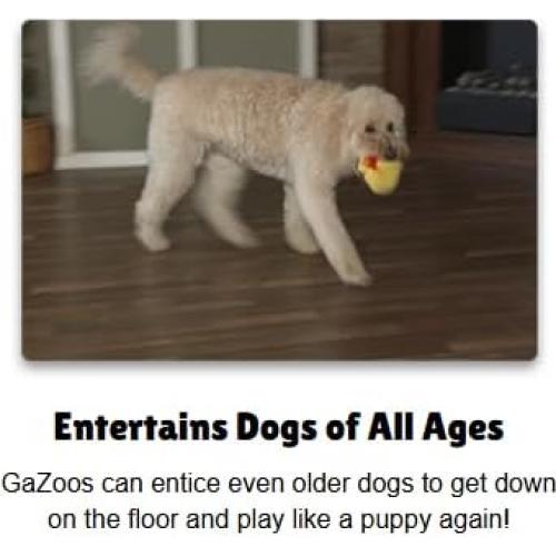 Juguete Interactivo para Perros GaZoos Beau Bunny 12.7cm