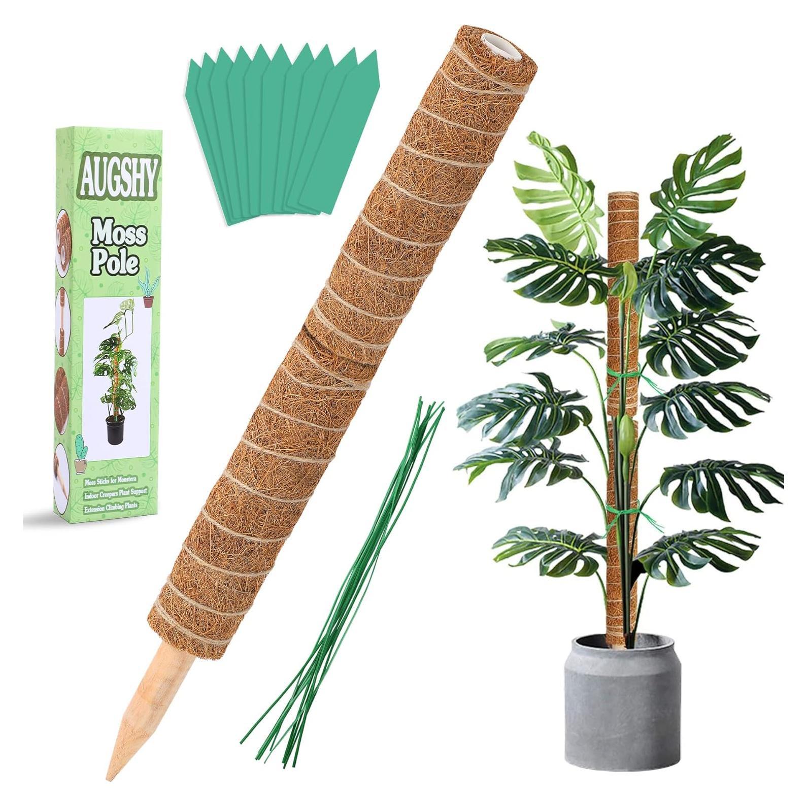 Poste de Musgo Augshy 50.8 cm Soporte para Plantas Trepadoras