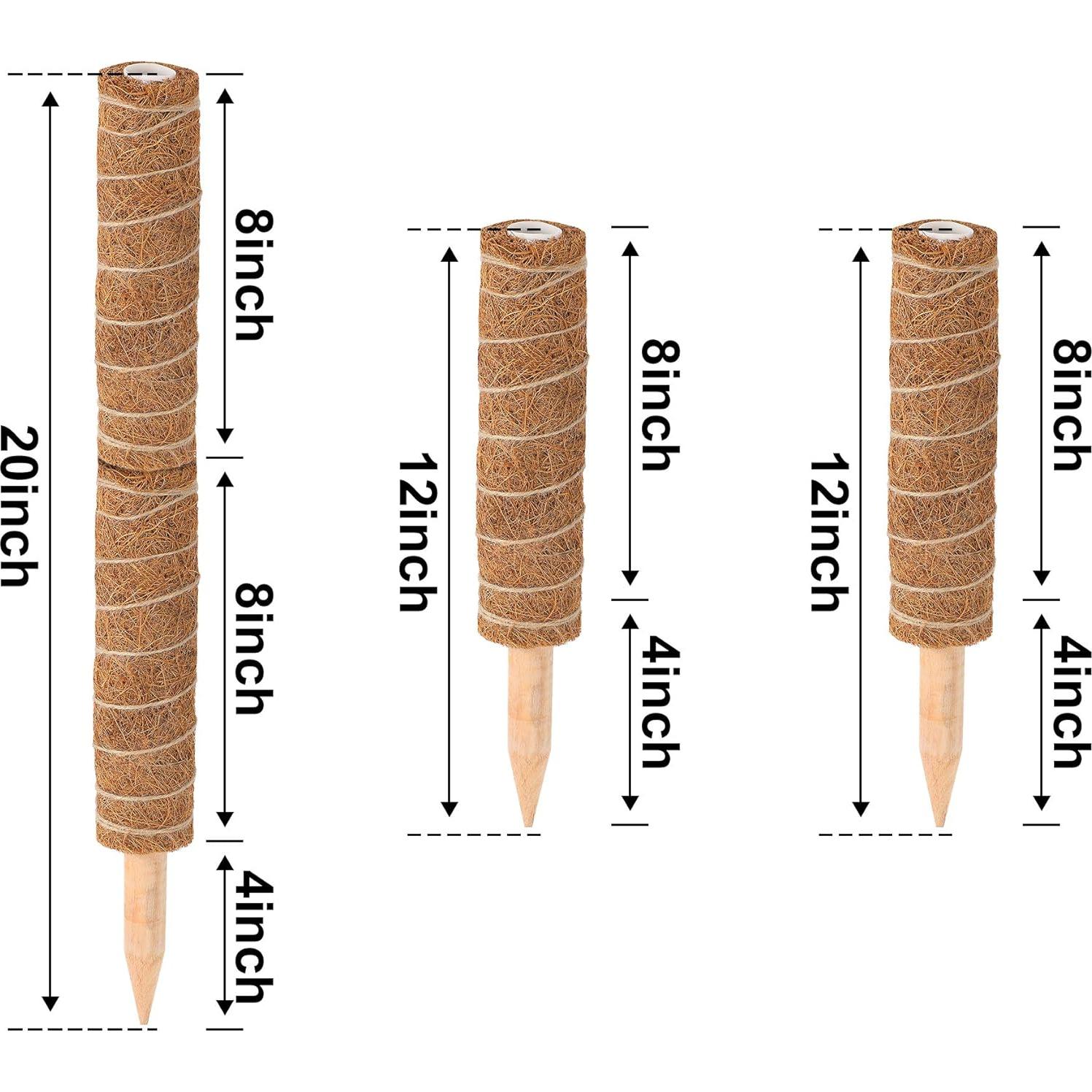Poste de Musgo Augshy 50.8 cm Soporte para Plantas Trepadoras