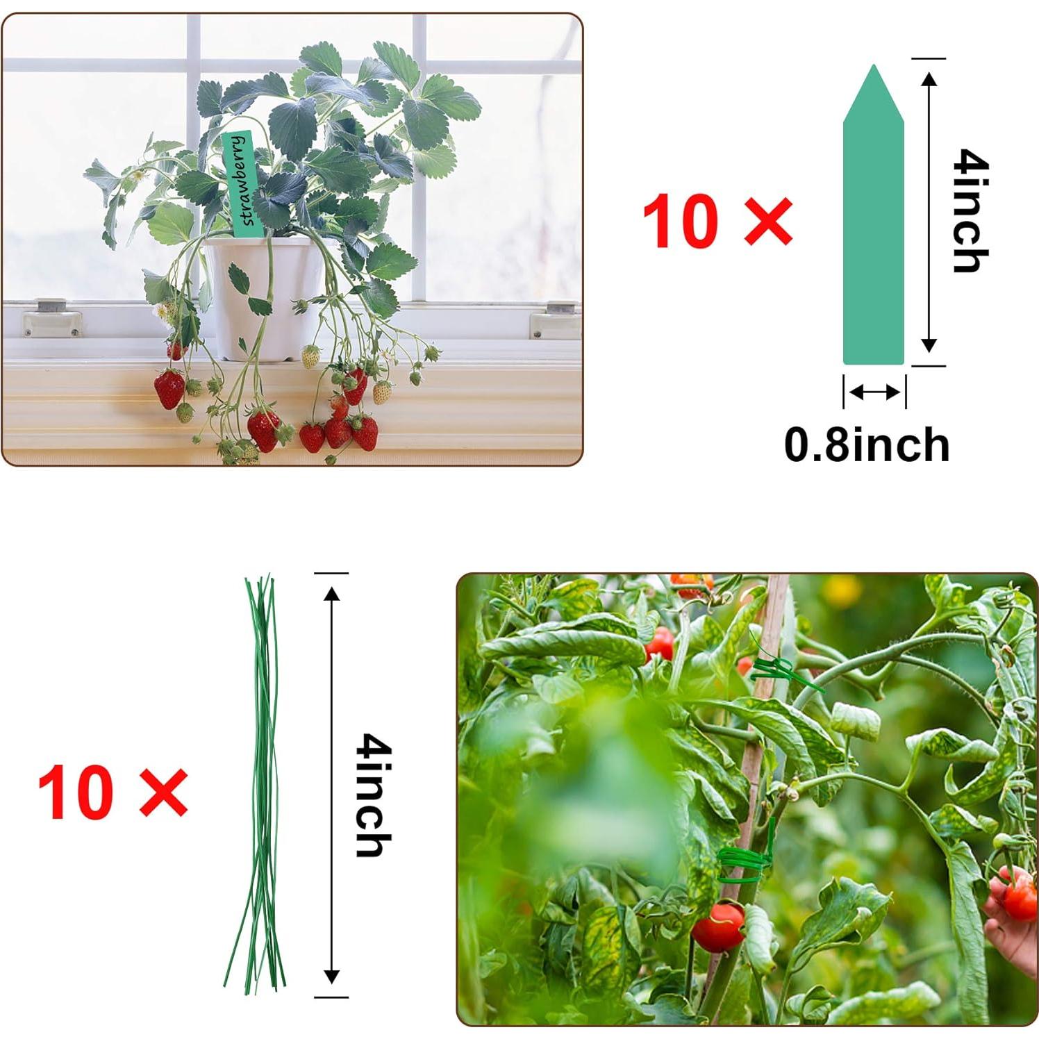 Poste de Musgo Augshy 50.8 cm Soporte para Plantas Trepadoras
