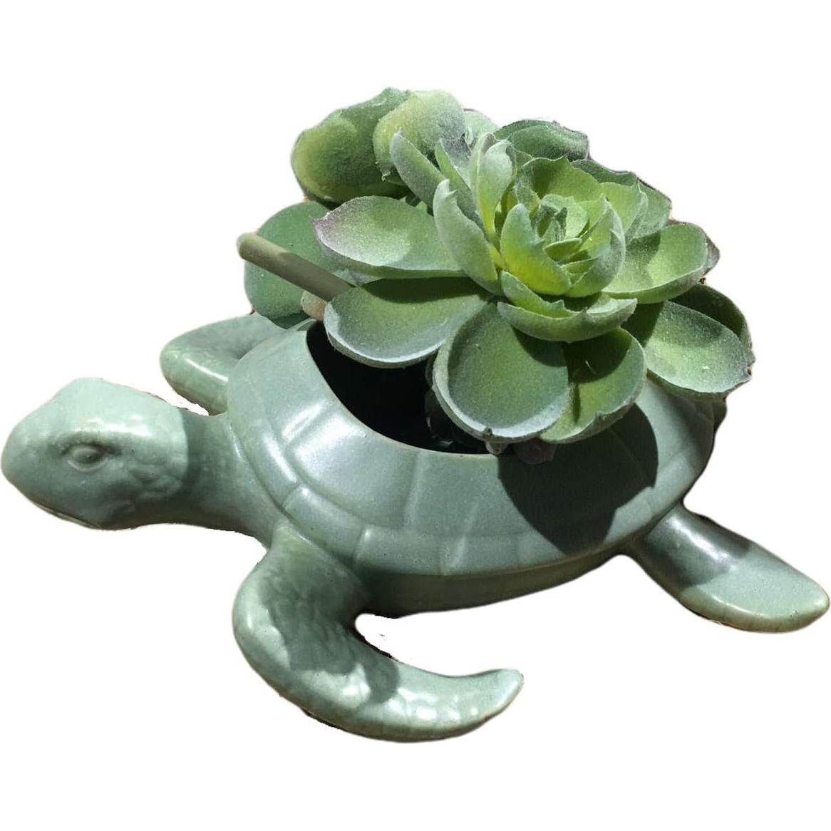 Maceta Decorativa Cráneo Comfy Hour 22.86 cm Dolomita Verde