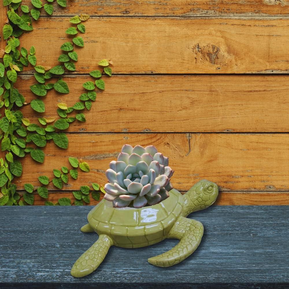 Maceta Decorativa Cráneo Comfy Hour 22.86 cm Dolomita Verde