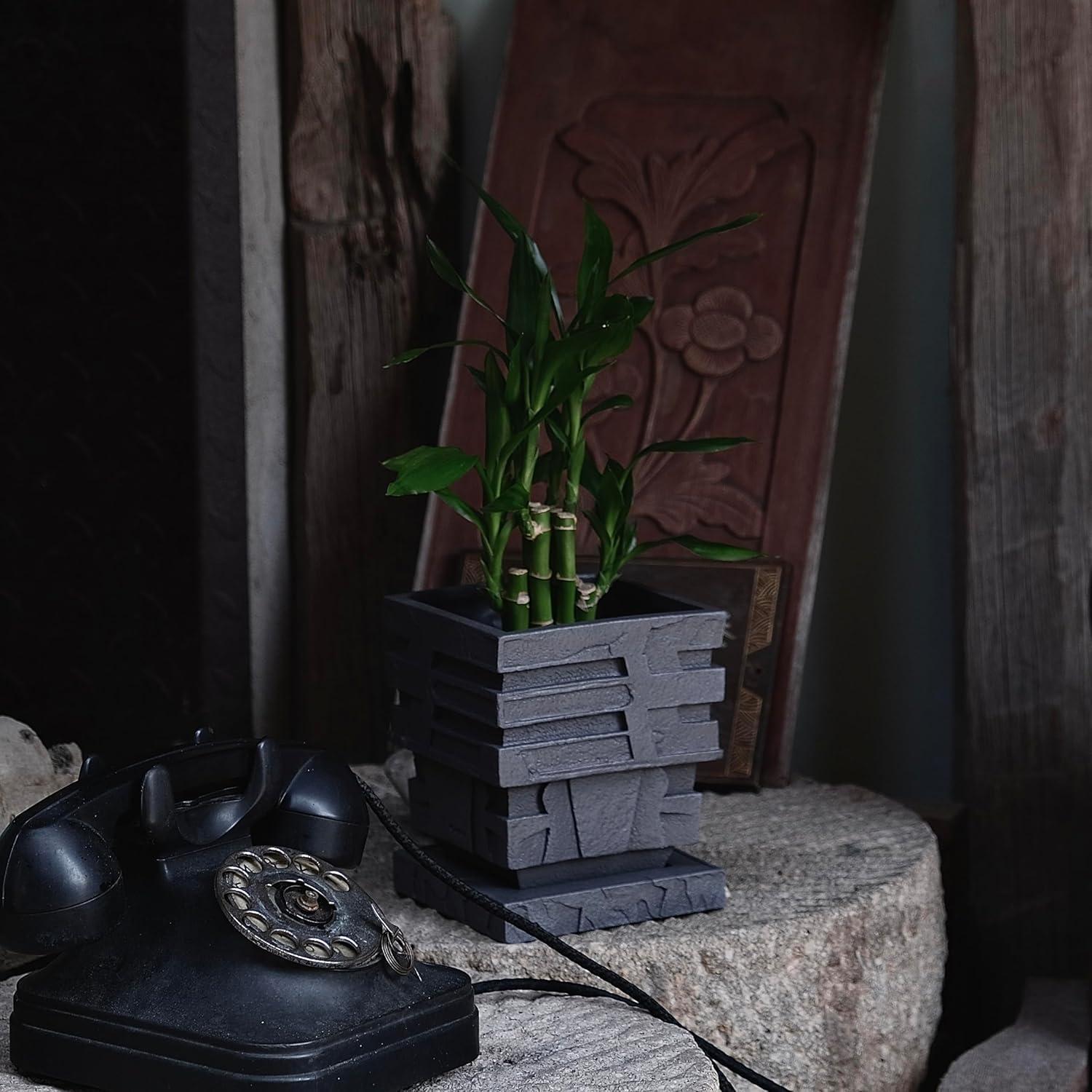 Maceta Cuadrada de Resina Forkai 13.5 cm con Drenaje