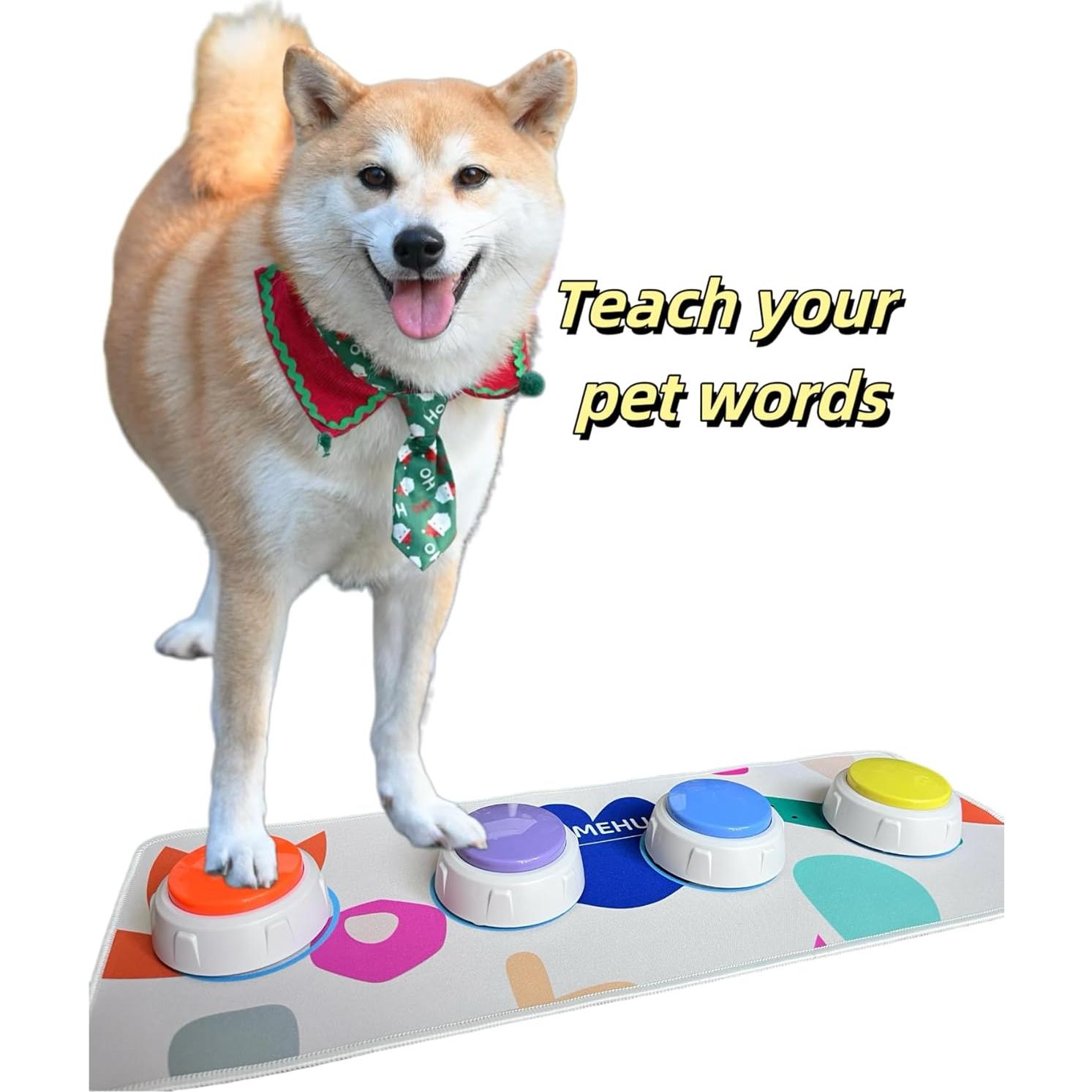 Conjunto de Botones de Voz Grabables para Mascotas - 4 Colores