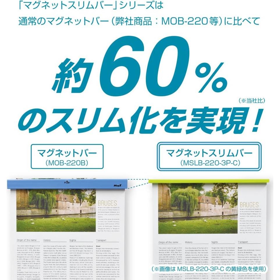 Barra Magnética Slim Magx 10 Piezas Blanca 22 cm