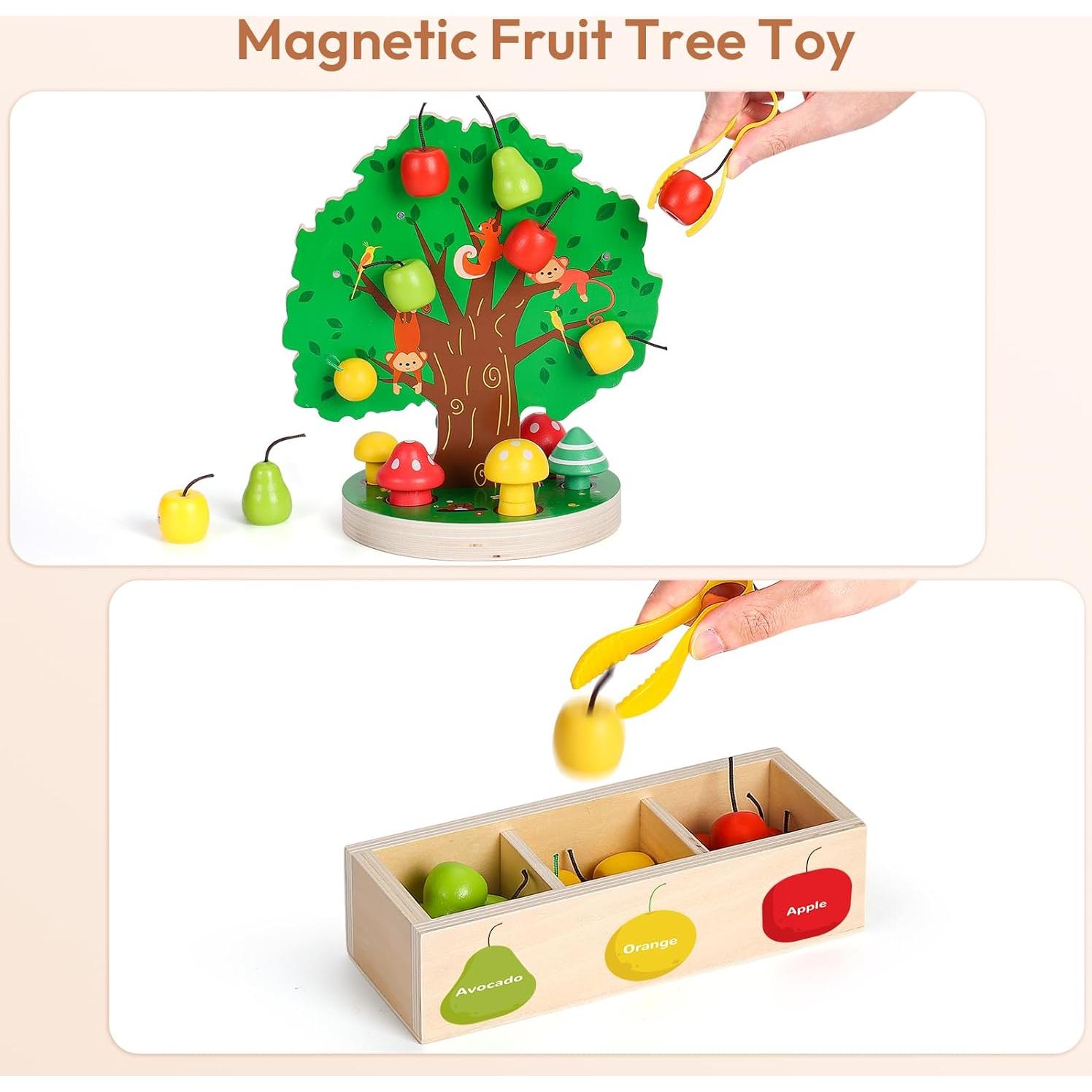 Juguete Magnético de Recolección de Frutas Woodtoe 36 PCS