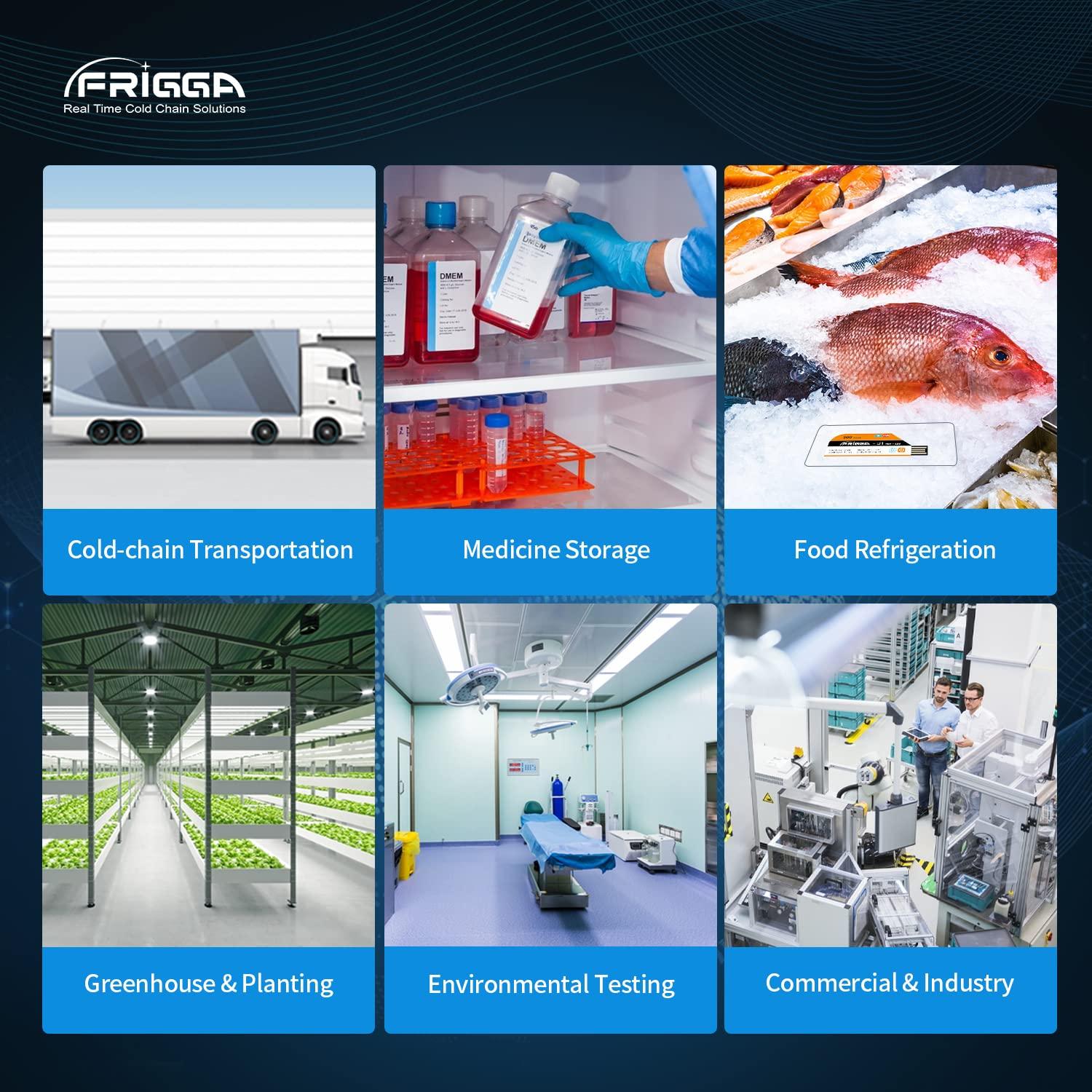 Registrador de Datos de Temperatura Frigga U1 - 10 Piezas, USB, Precisión Alta