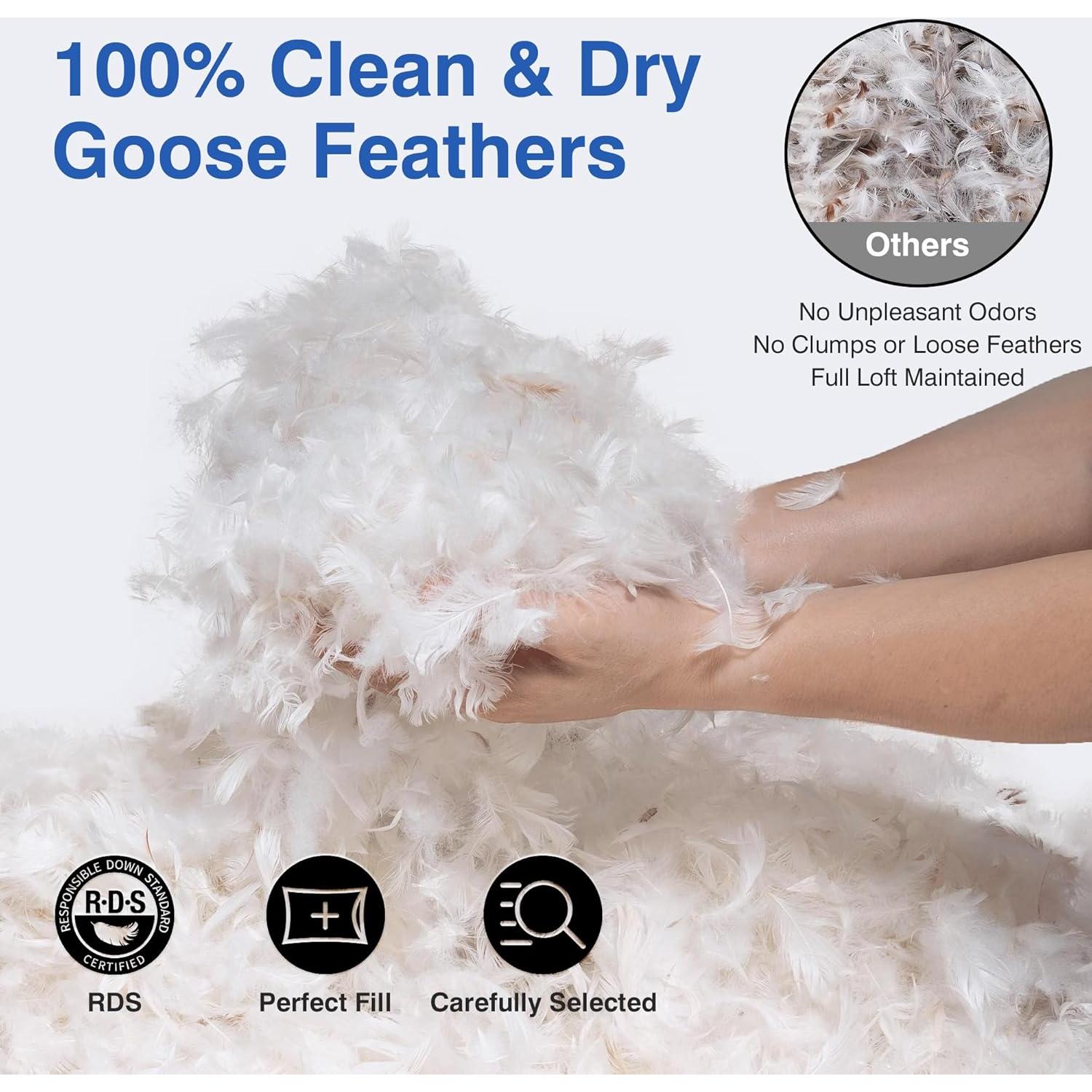 Juego de 2 almohadas de plumas de ganso Zibroges tamaño queen