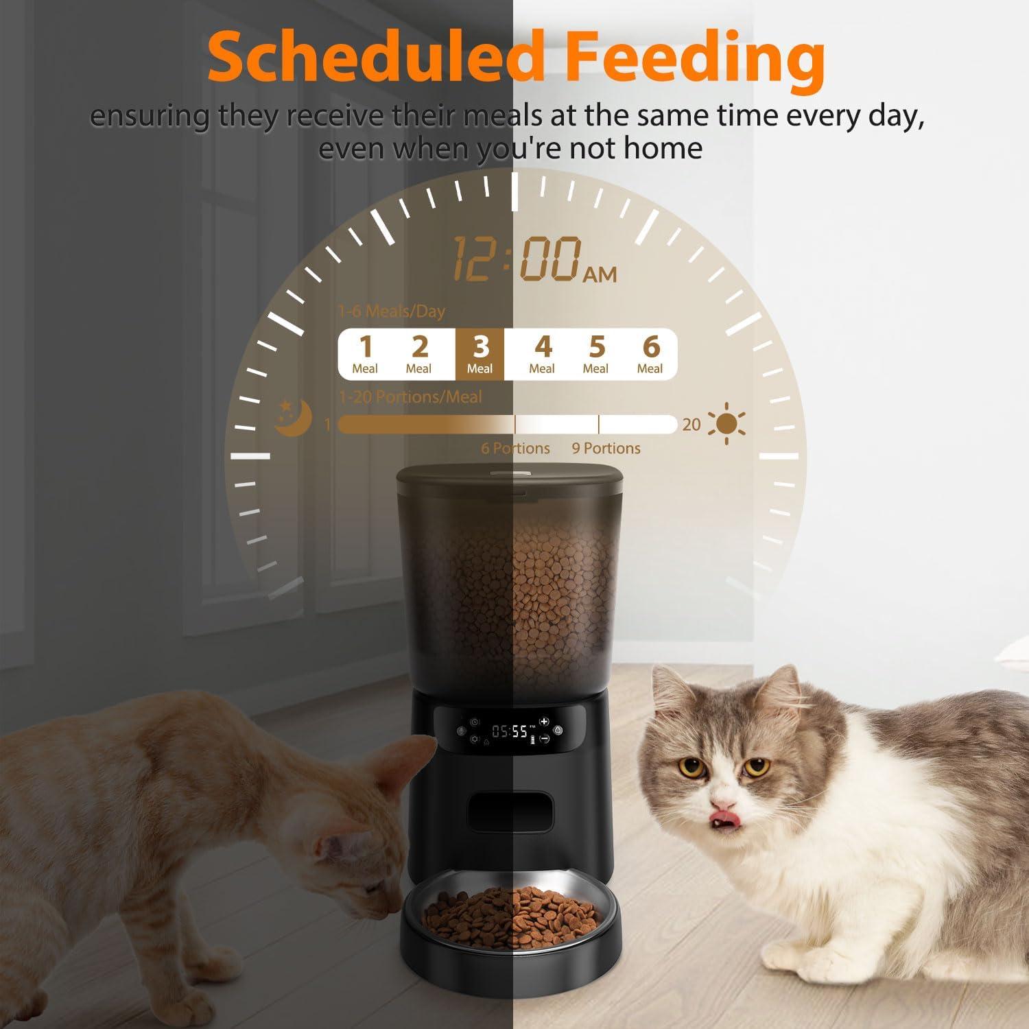 Dispensador Automático de Comida para Gatos Katalic 4L Control de Porciones
