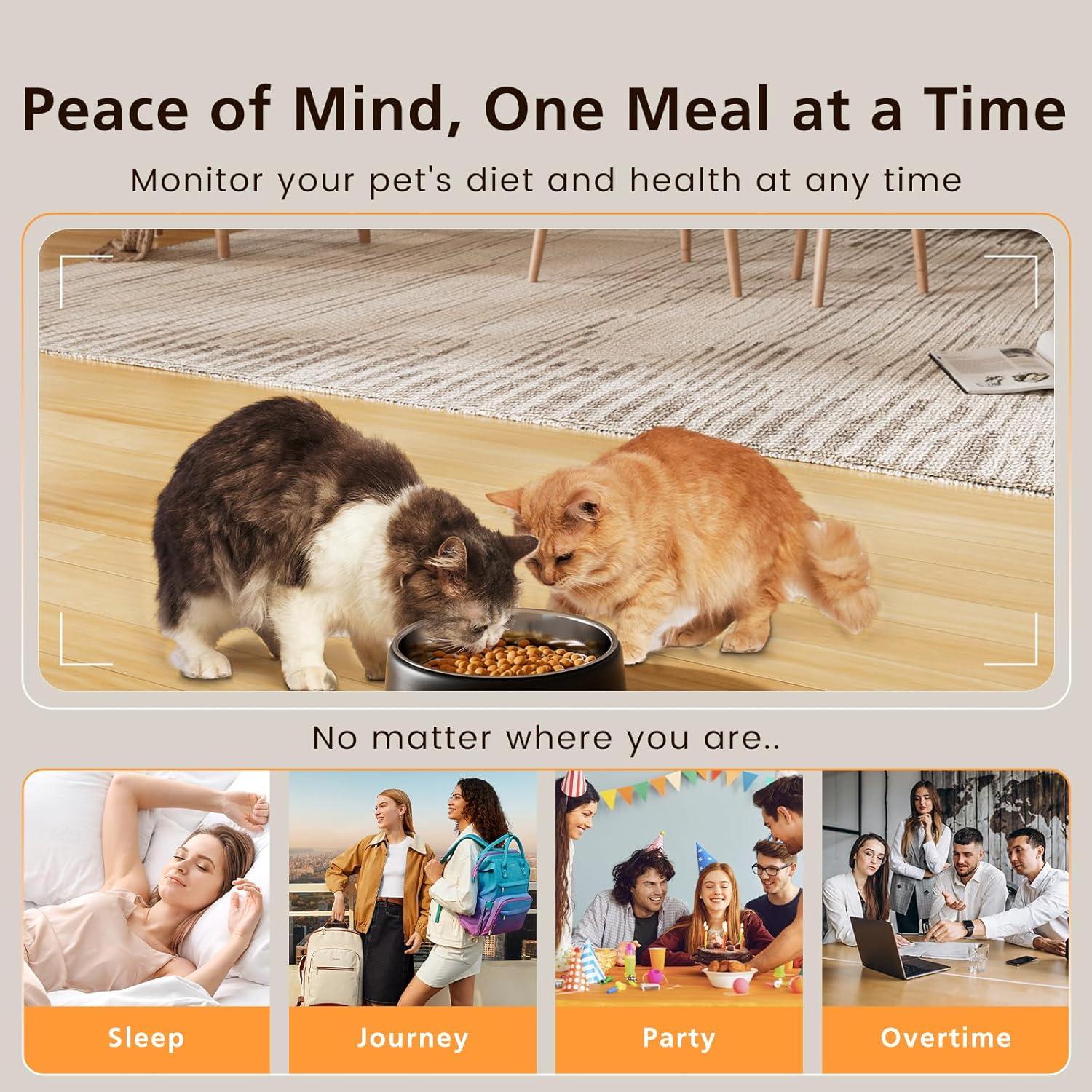 Comedero Automático Inteligente Petrice 4L con Cámara HD