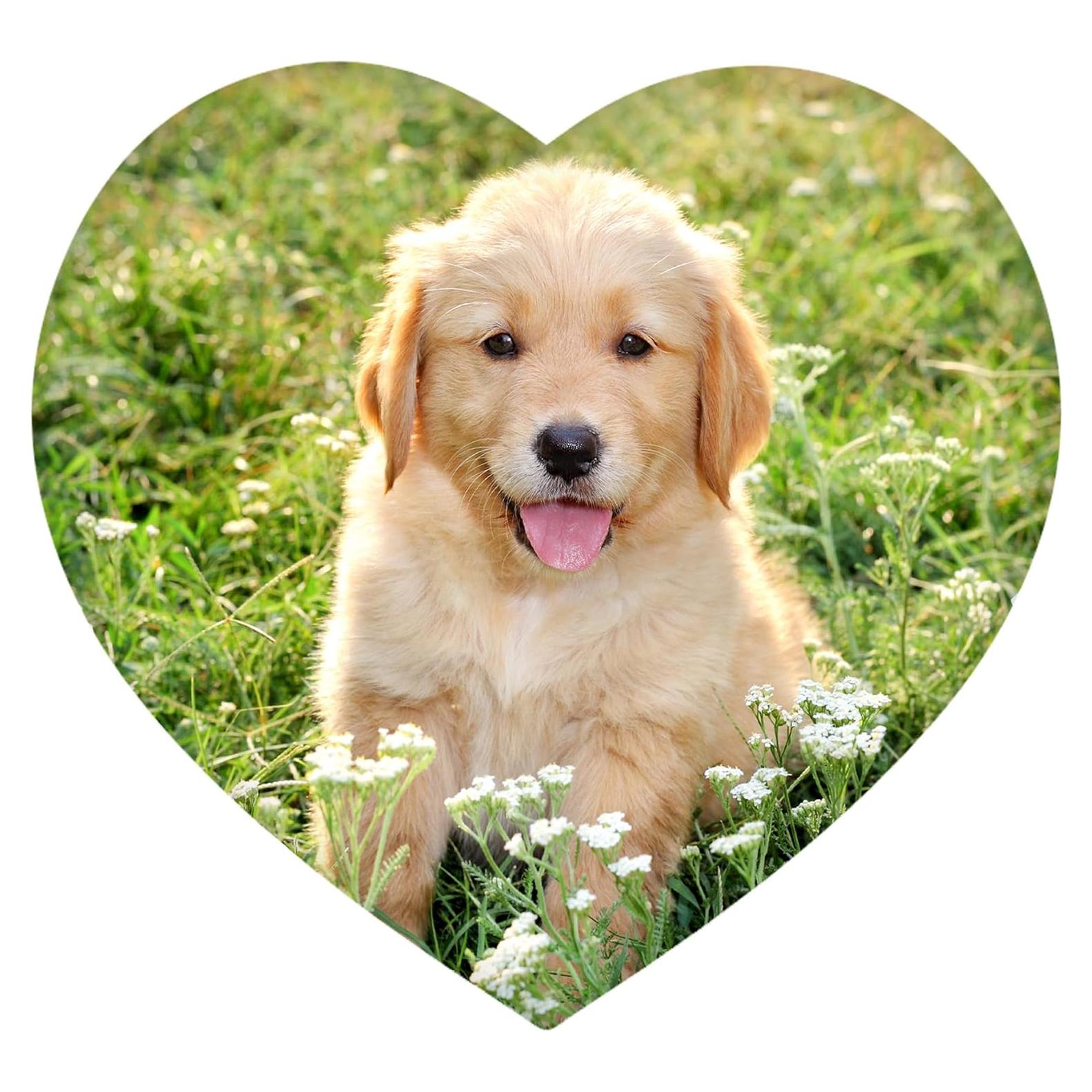 Cojín Personalizado WiHoo Corazón 40x40 cm Doble Cara