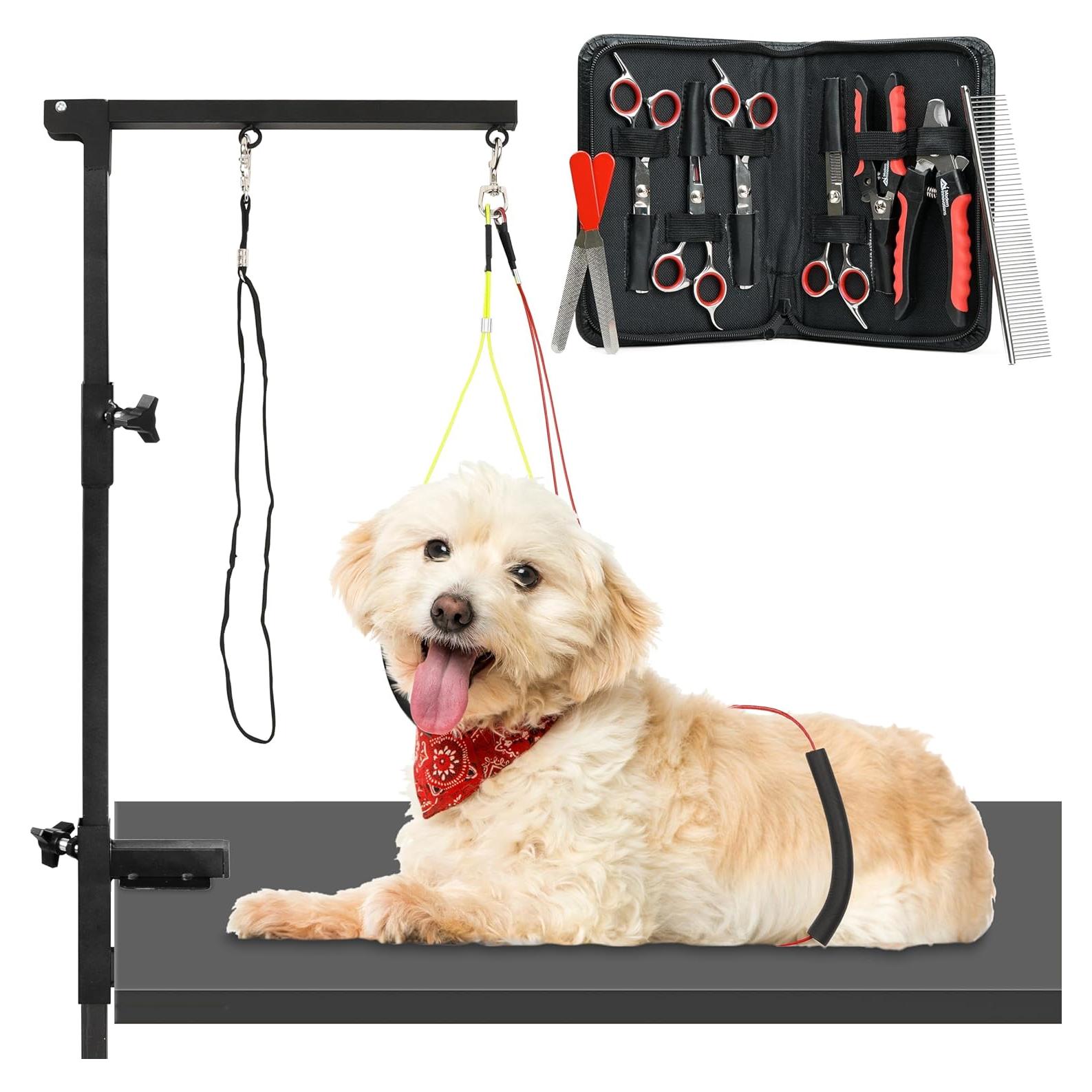 Kit de Acicalamiento para Perros Innovaciones Modernas 12 Piezas