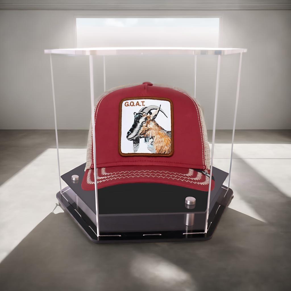 Estuche de exhibición para gorras WLSANX 25.4x22.1x20.1cm