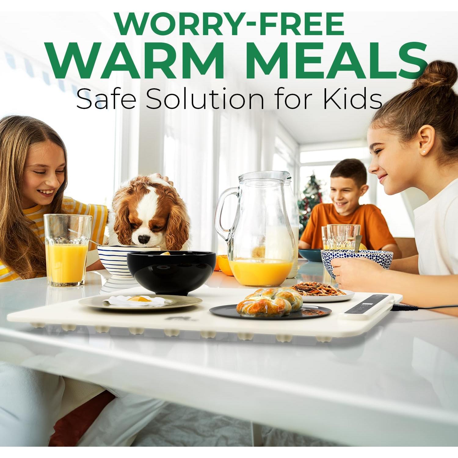 Calentador de Comida Eléctrico EconoHome FDWRM 43.94x43.94cm