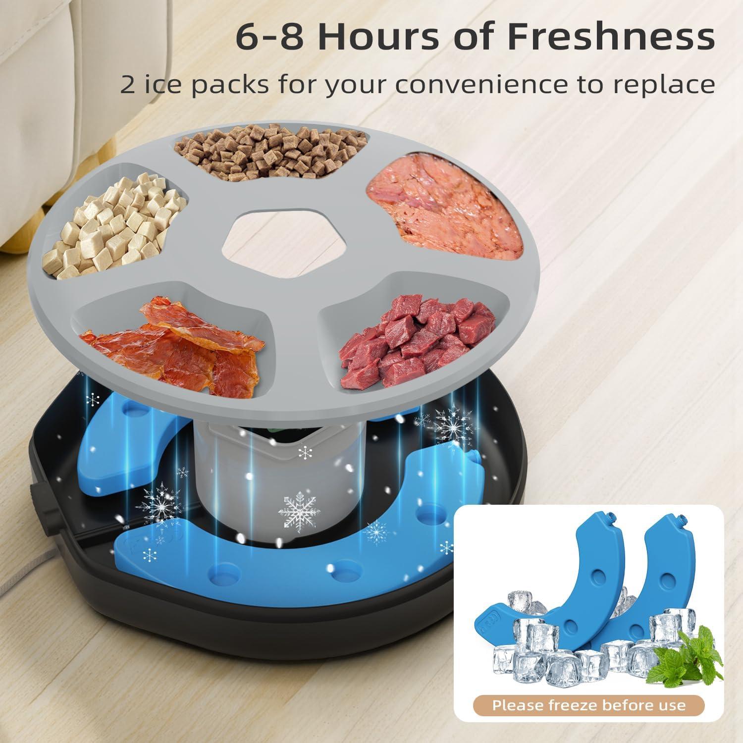 Dispensador Automático de Comida ITSCUTE para Mascotas 5 Comidas
