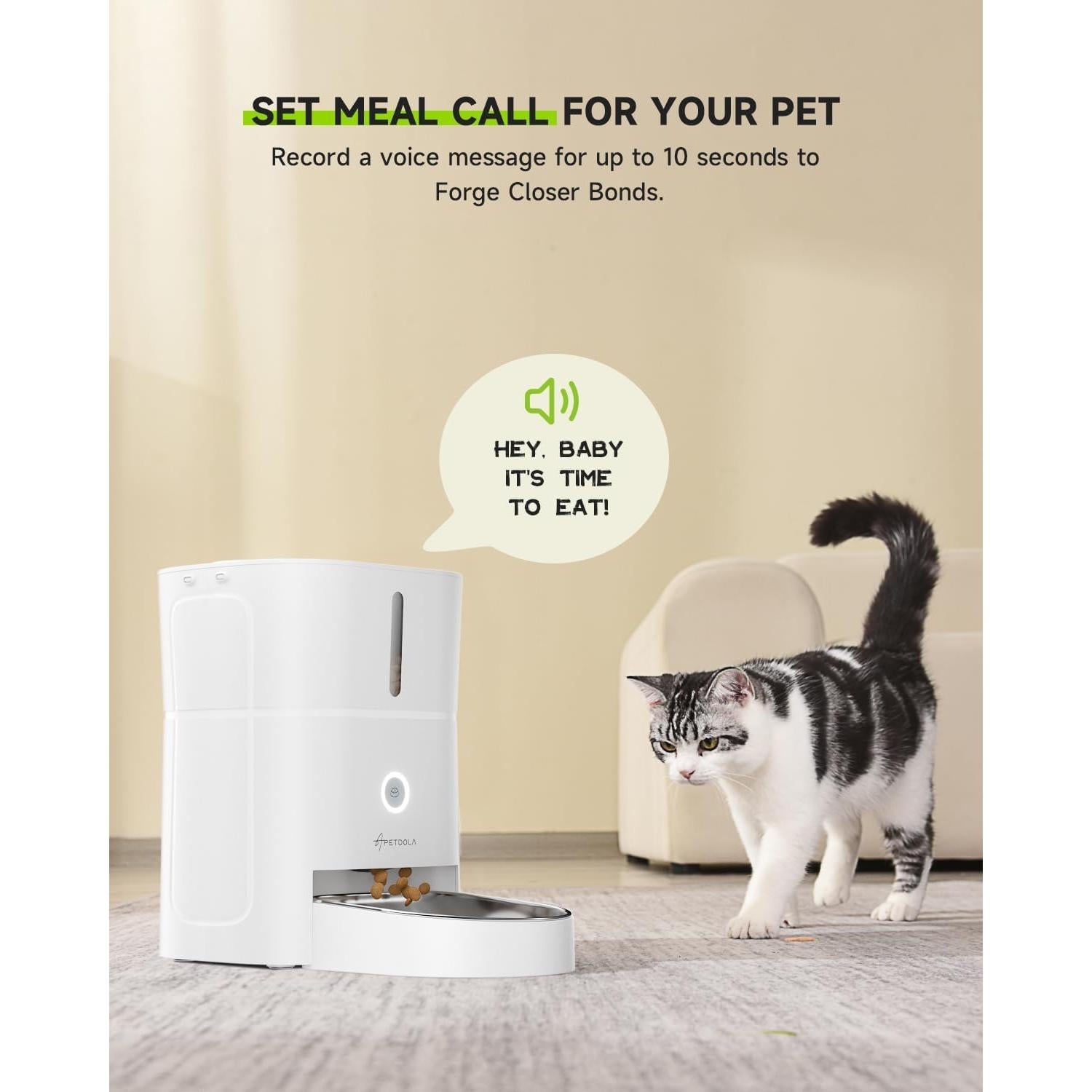 Fuente de Agua para Gatos 4.5L + Comedero Automático APETDOLA