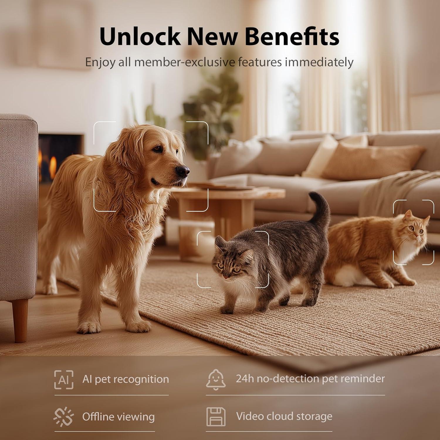 Comedero Automático IMIPAW para Gatos con Cámara 1080P HD