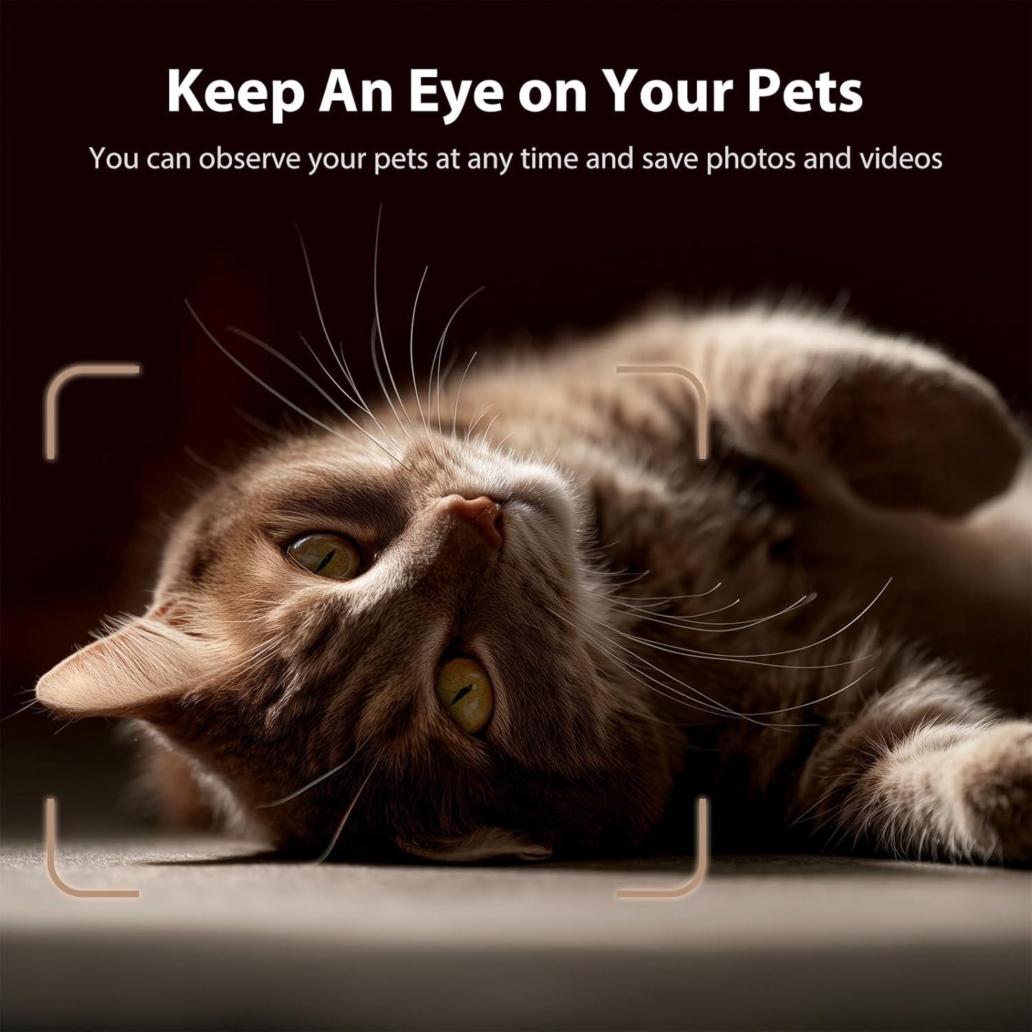 Comedero Automático IMIPAW para Gatos con Cámara 1080P HD