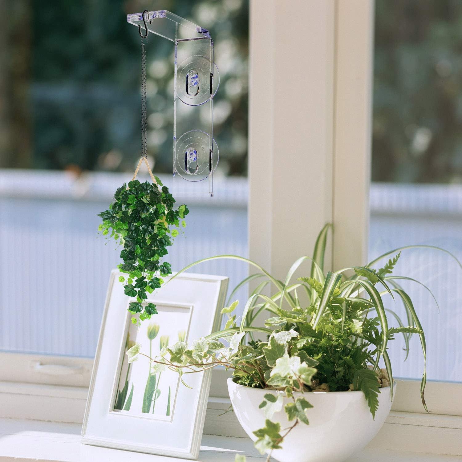 Soporte de Ventana con Ventosa IMPRESA - Paquete de 2 - Acrílico Verde Brillante - Resistente a la Intemperie