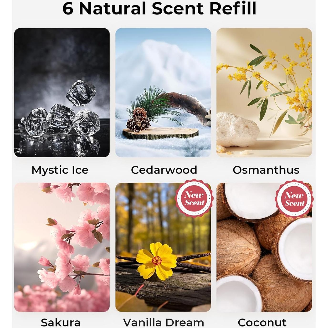 Ambientador de Aire para Autos Hitolza - Flor de Sakura, 6 Meses